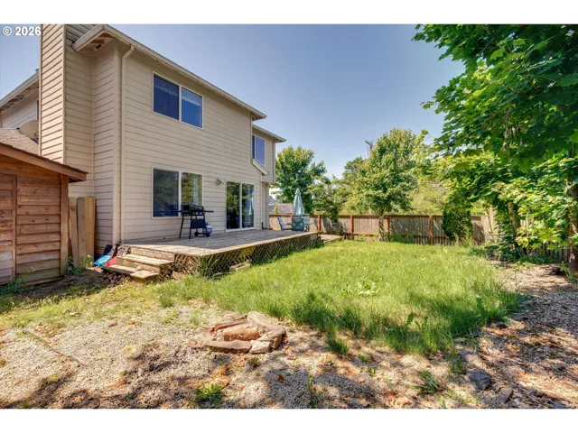 Backyard-View From