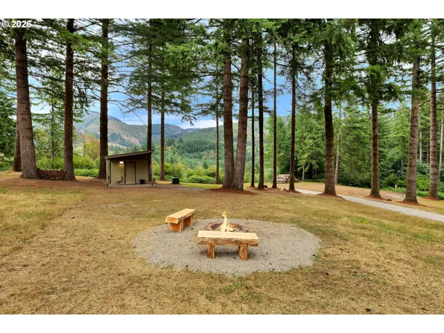 Fire Pit-# 1