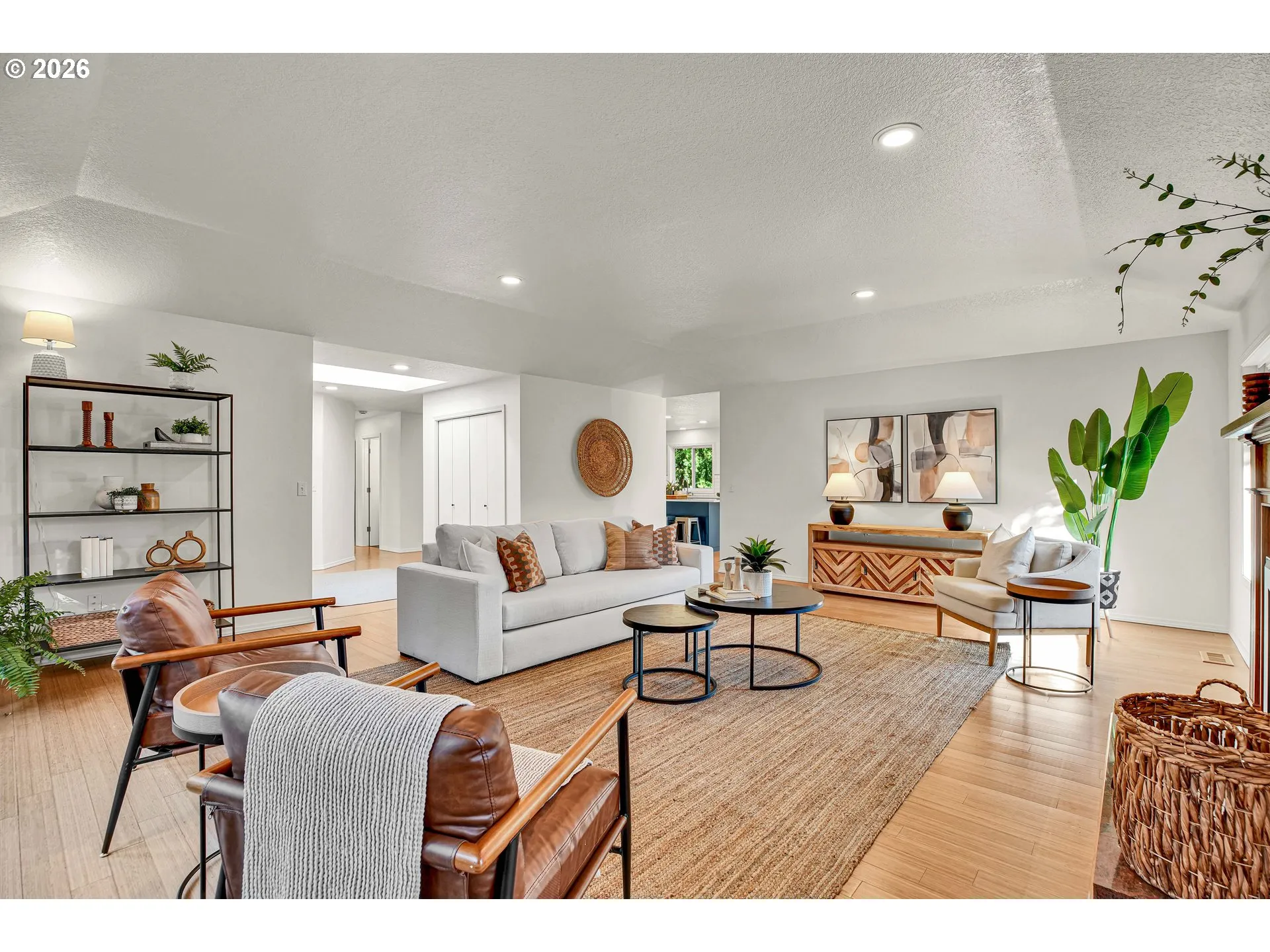 Living Room/Entrance