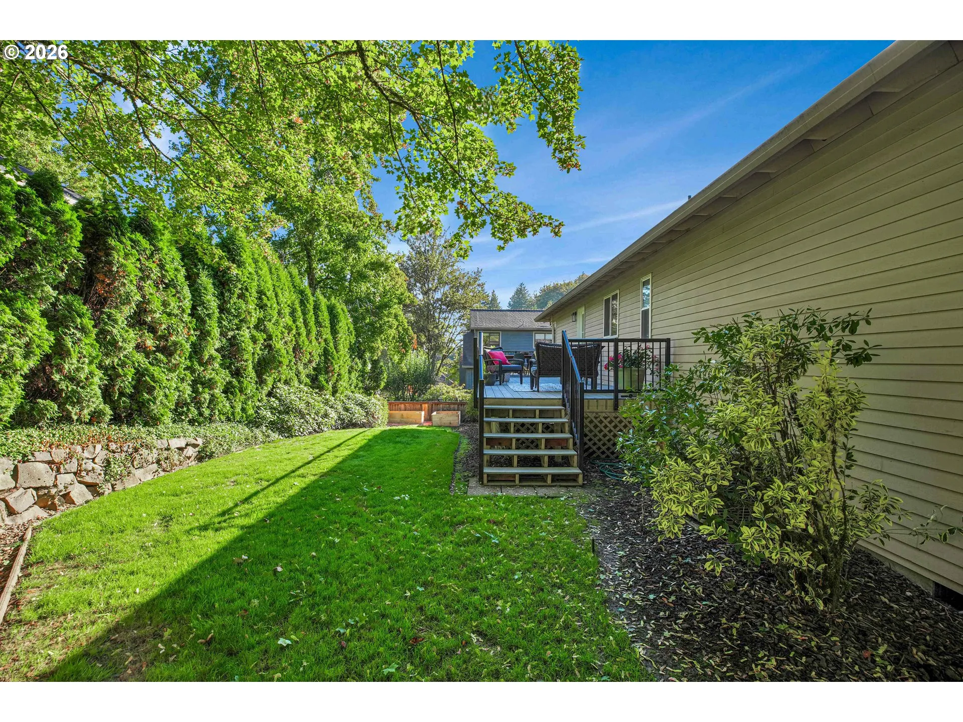 Backyard