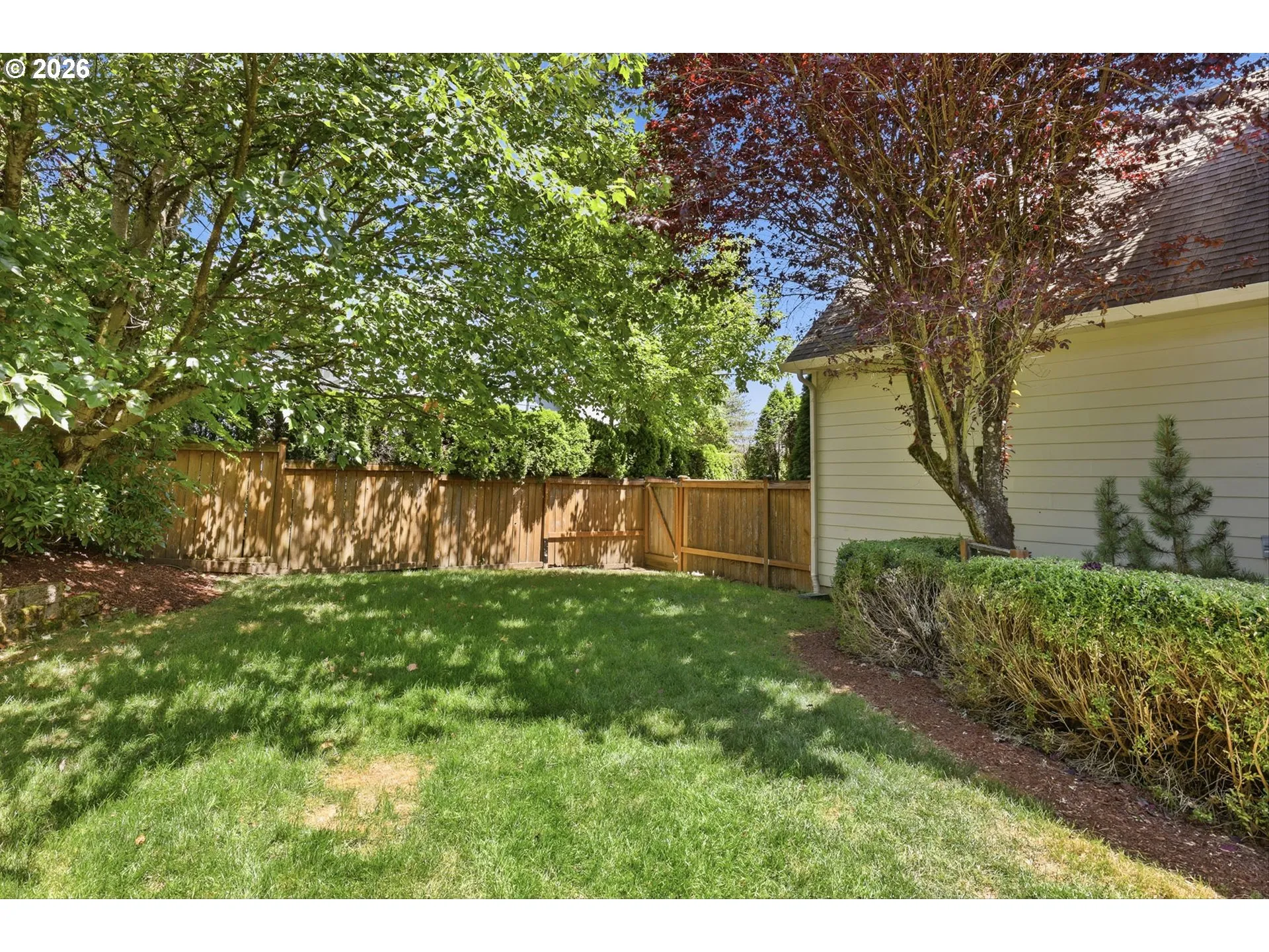 Backyard-Fenced