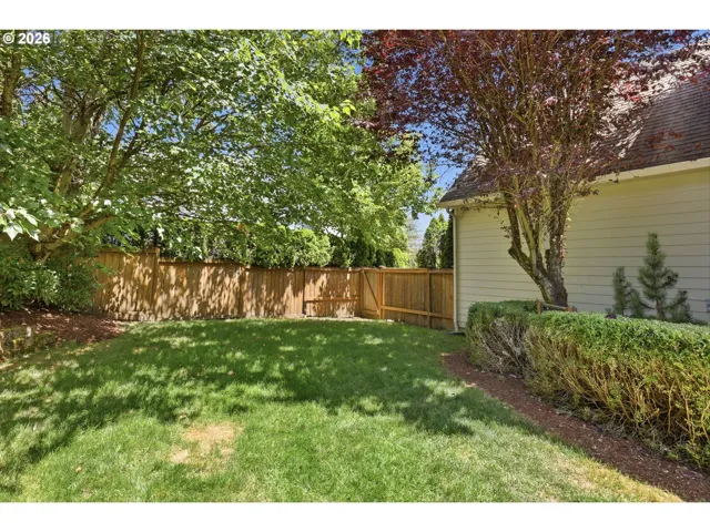 Backyard-Fenced