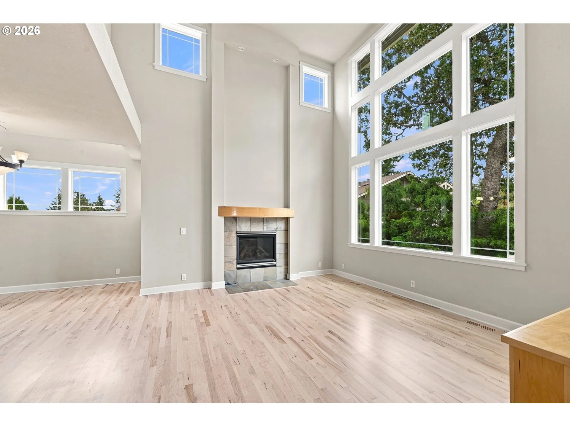 Living Room-Fireplace