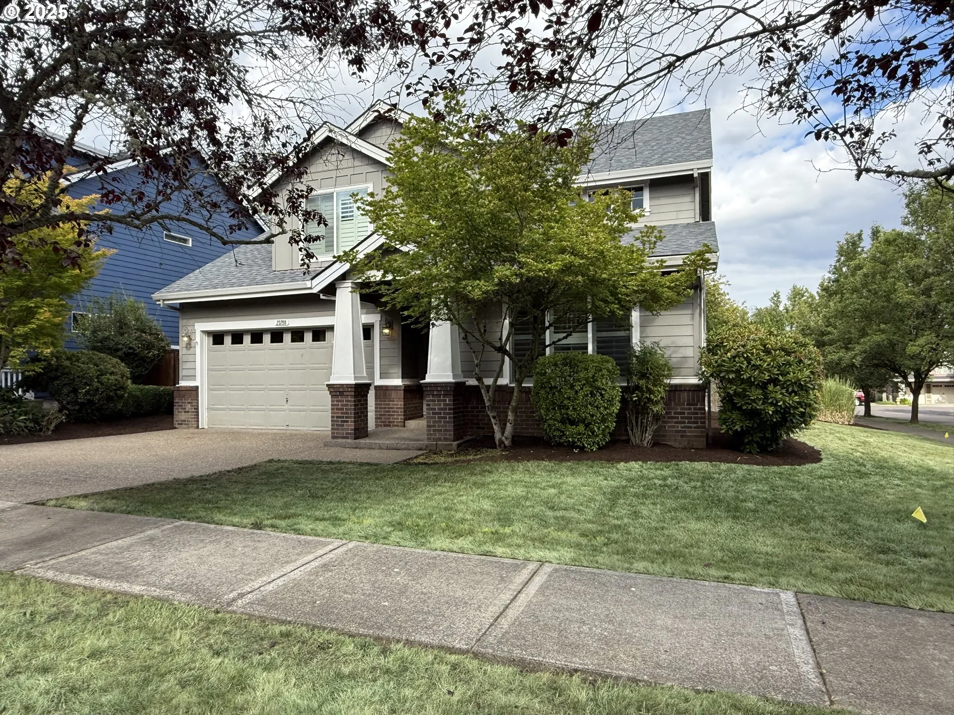 Front Yard