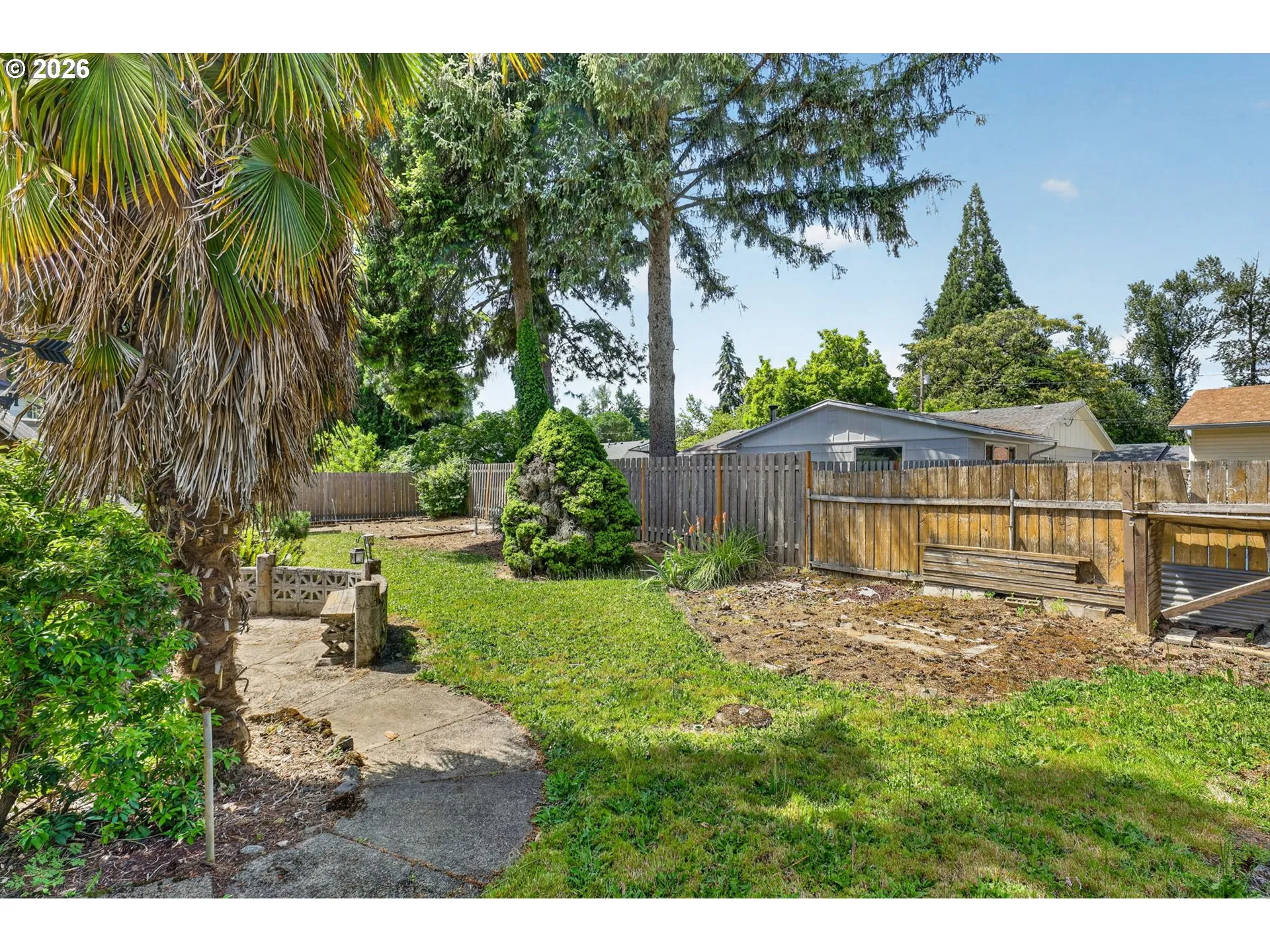 Backyard