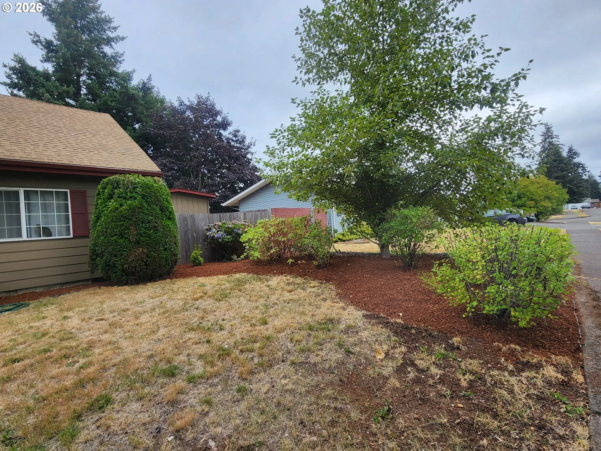 Front Yard