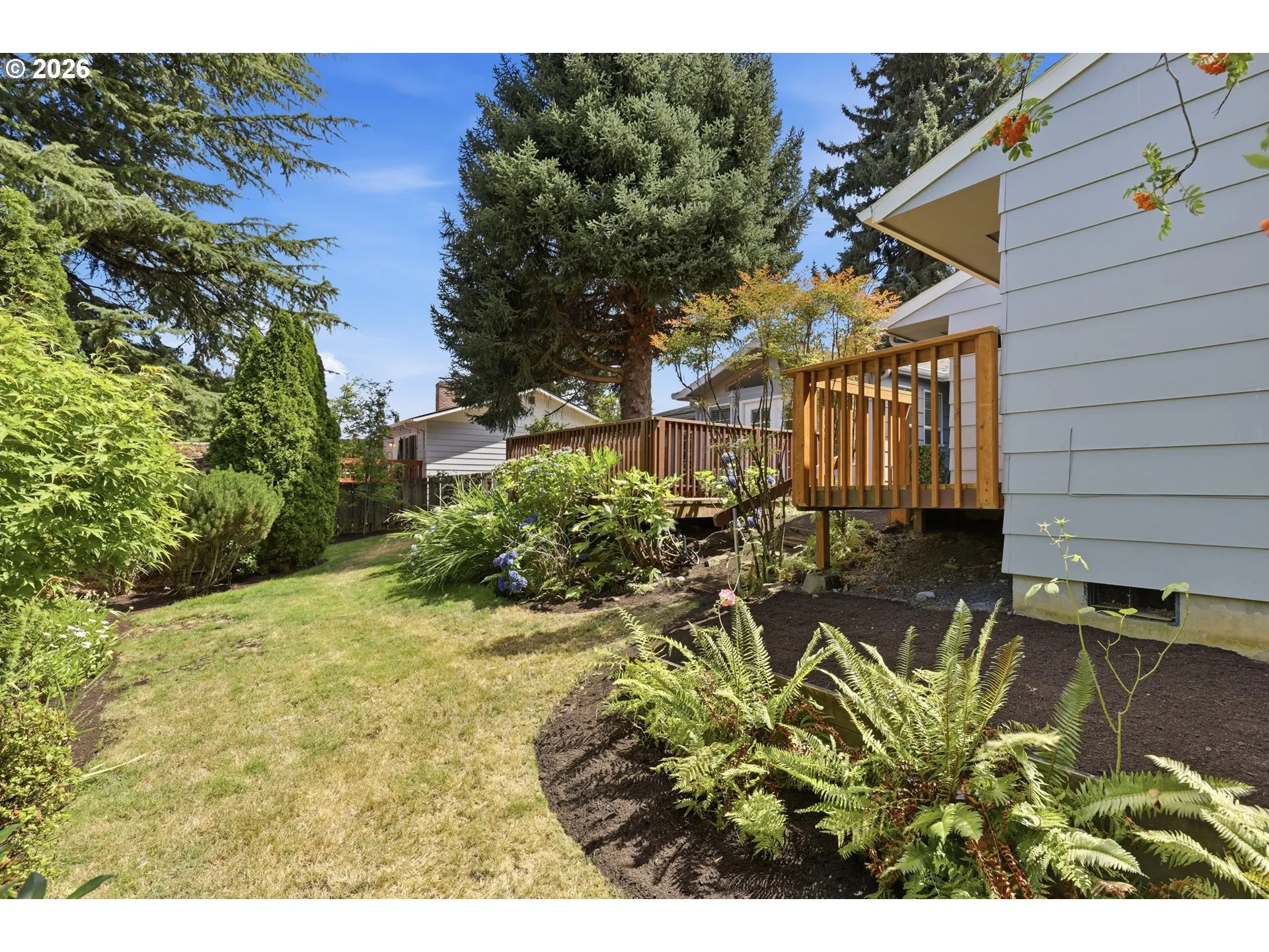Backyard