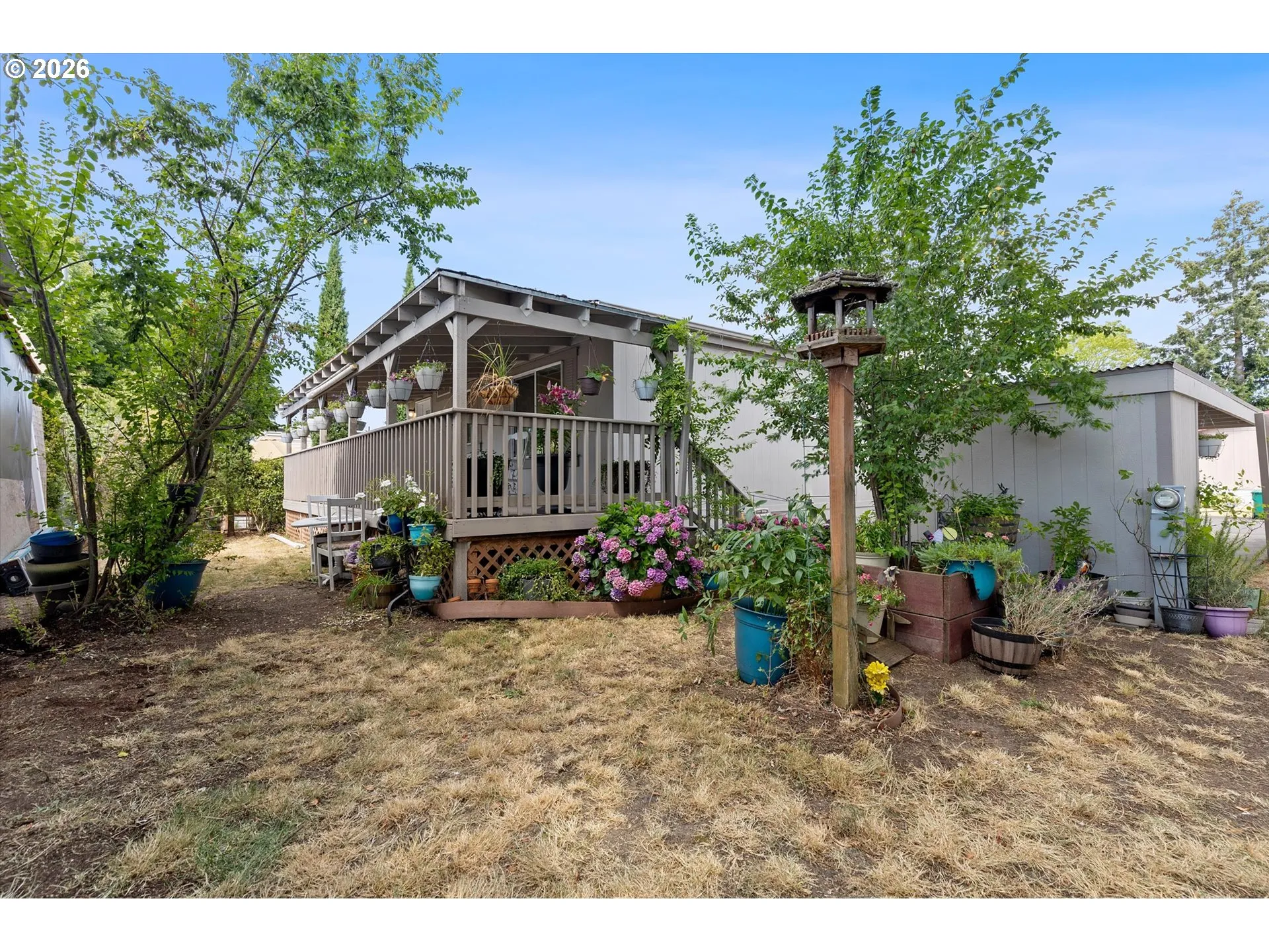 Yard-Landscaped