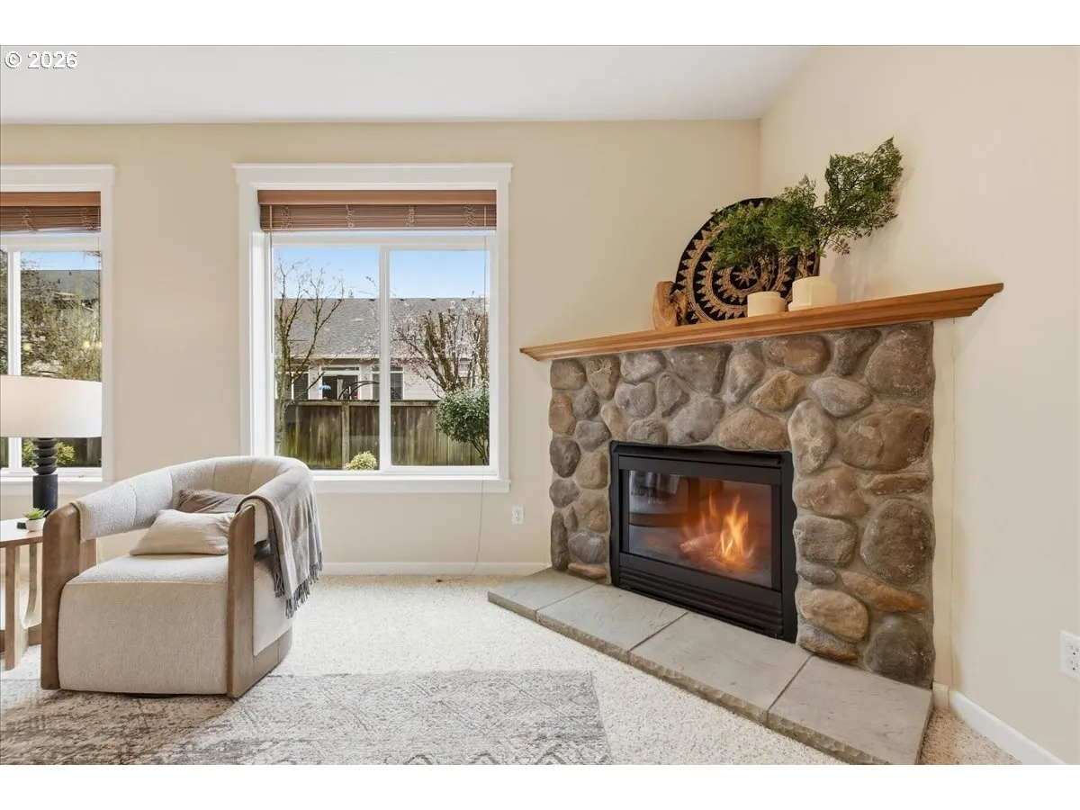 Fireplace Gas