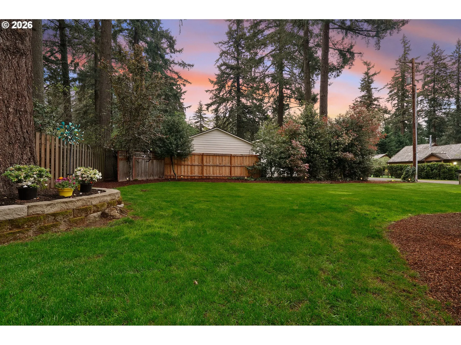 Backyard