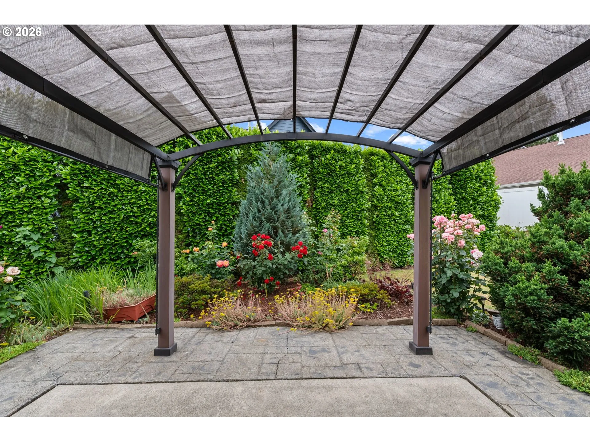 Backyard-Fenced
