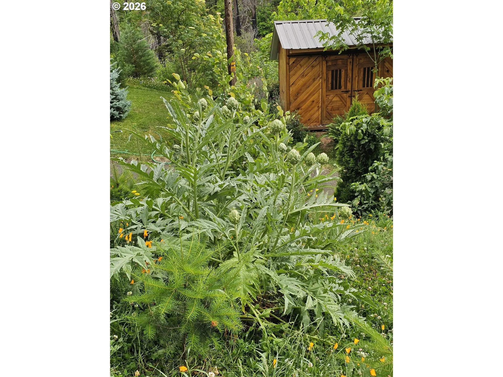Utility Shed