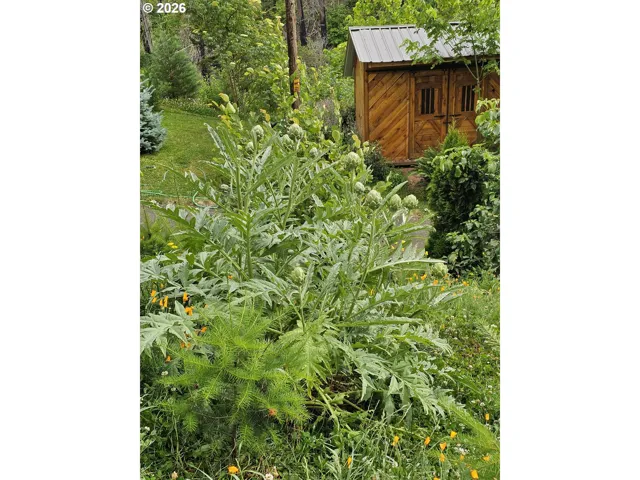 Utility Shed