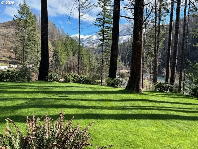Yard-Manicured