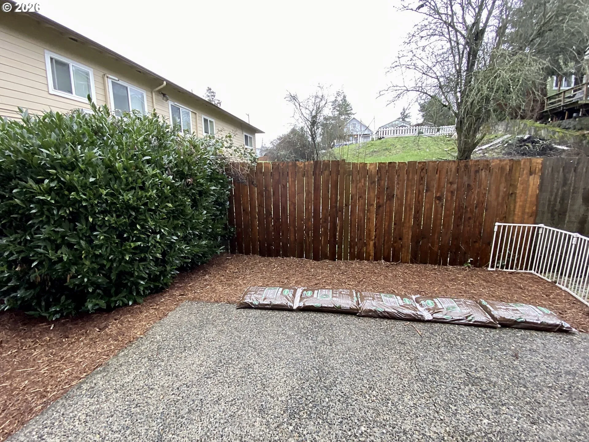 Backyard-Fenced