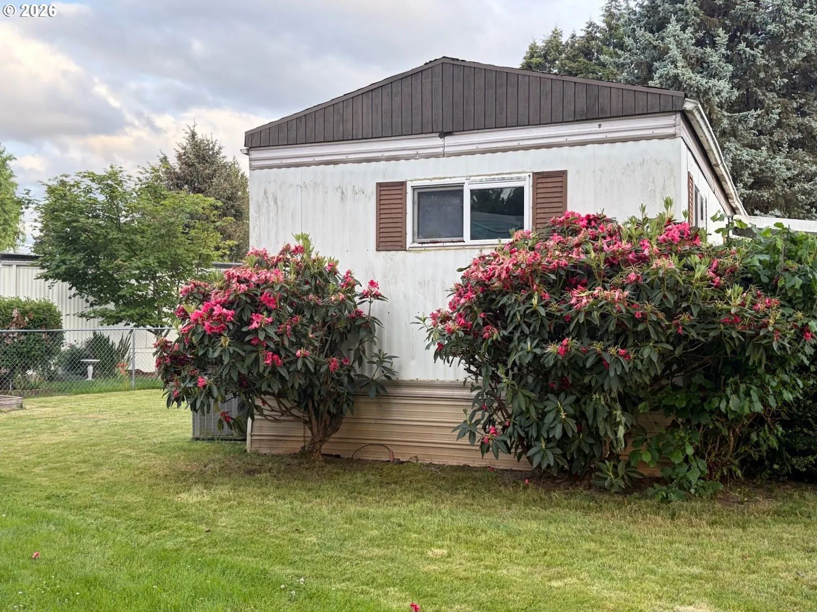 Yard-Landscaped