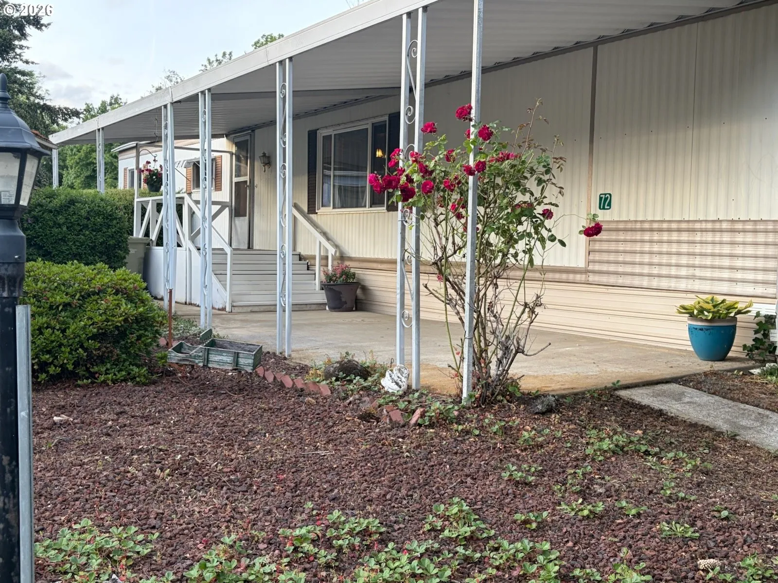 Front Yard-View From