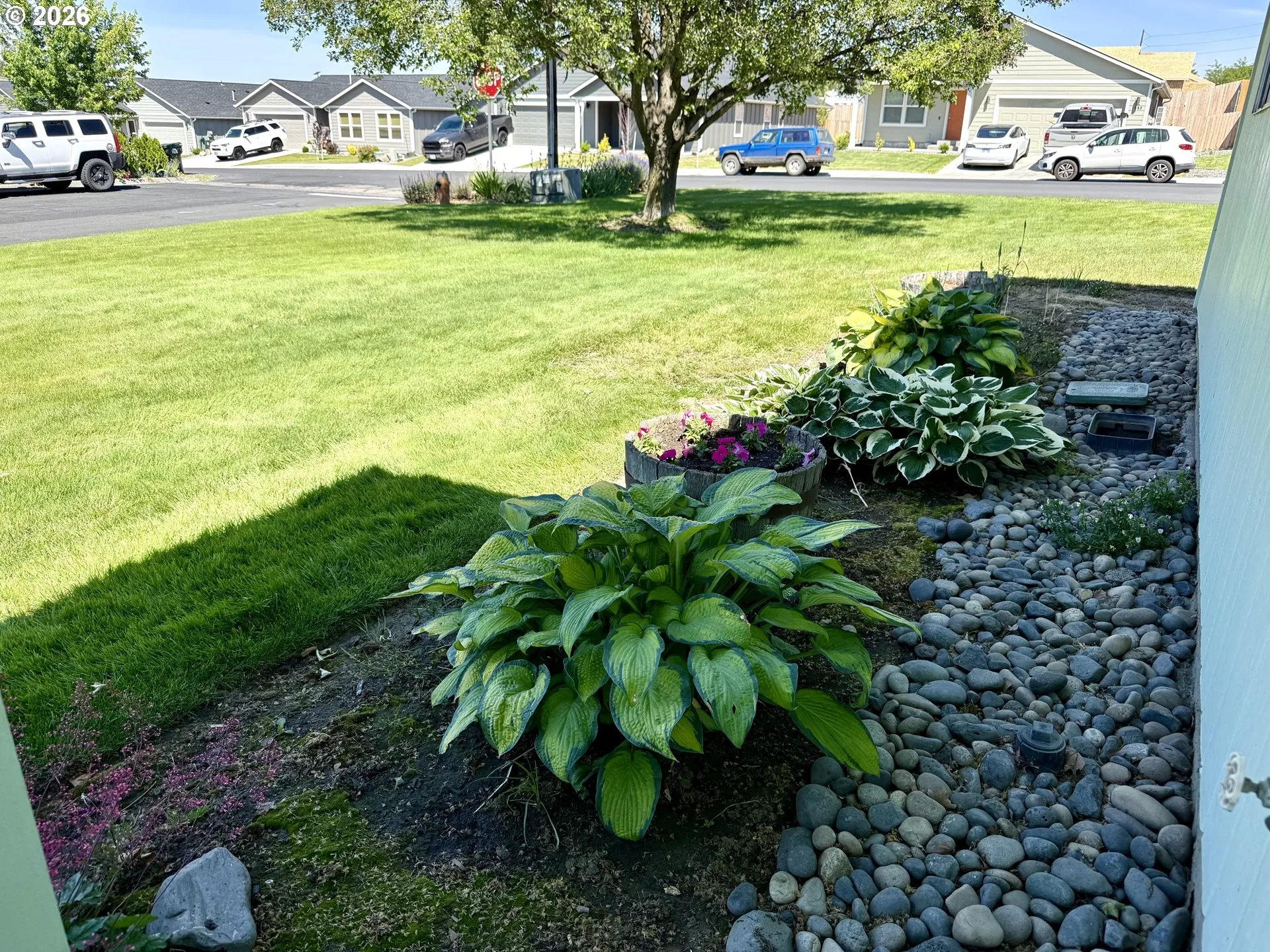 Front Yard
