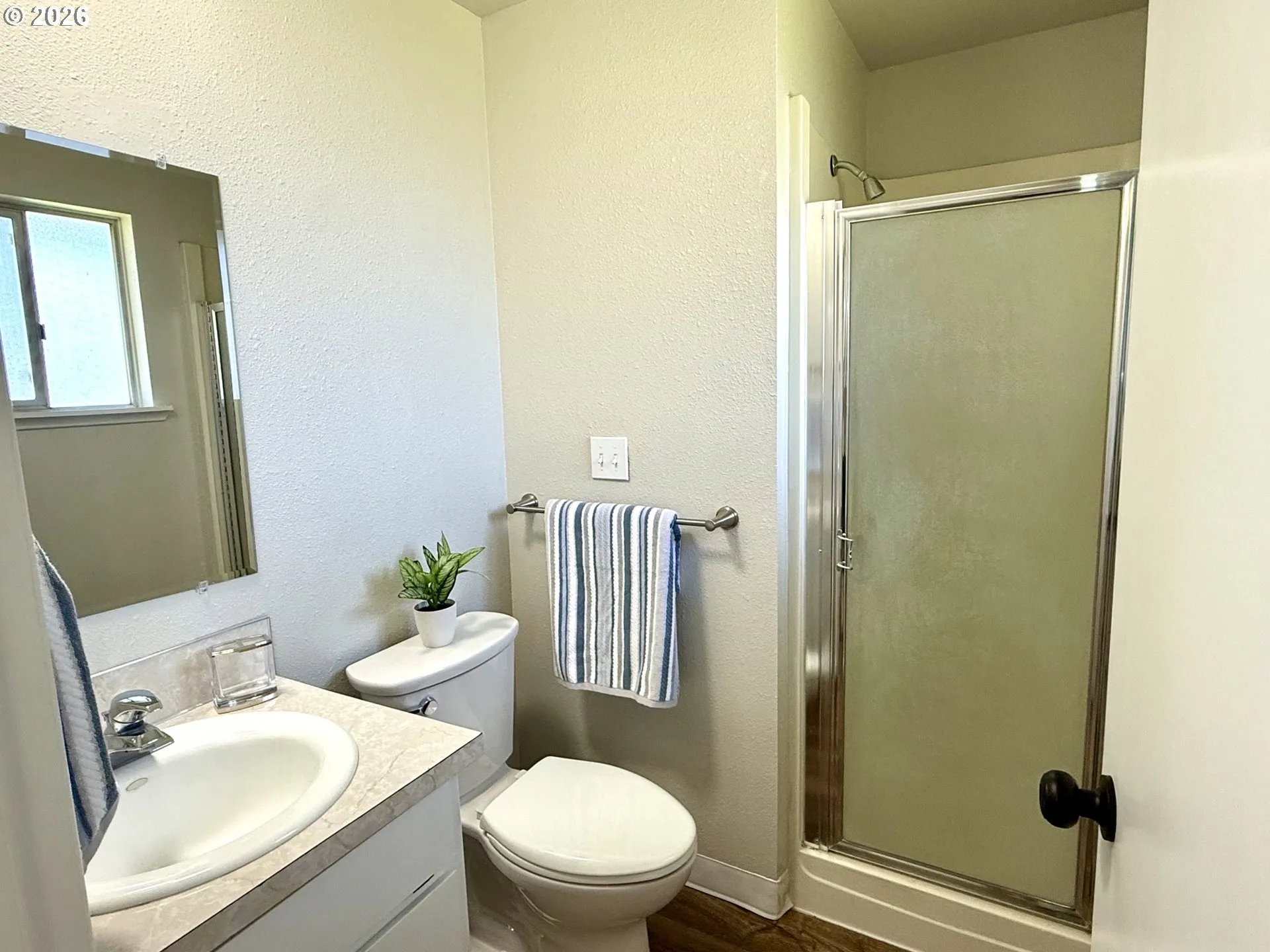 Owner's Suite Bathroom-Walk in Shower