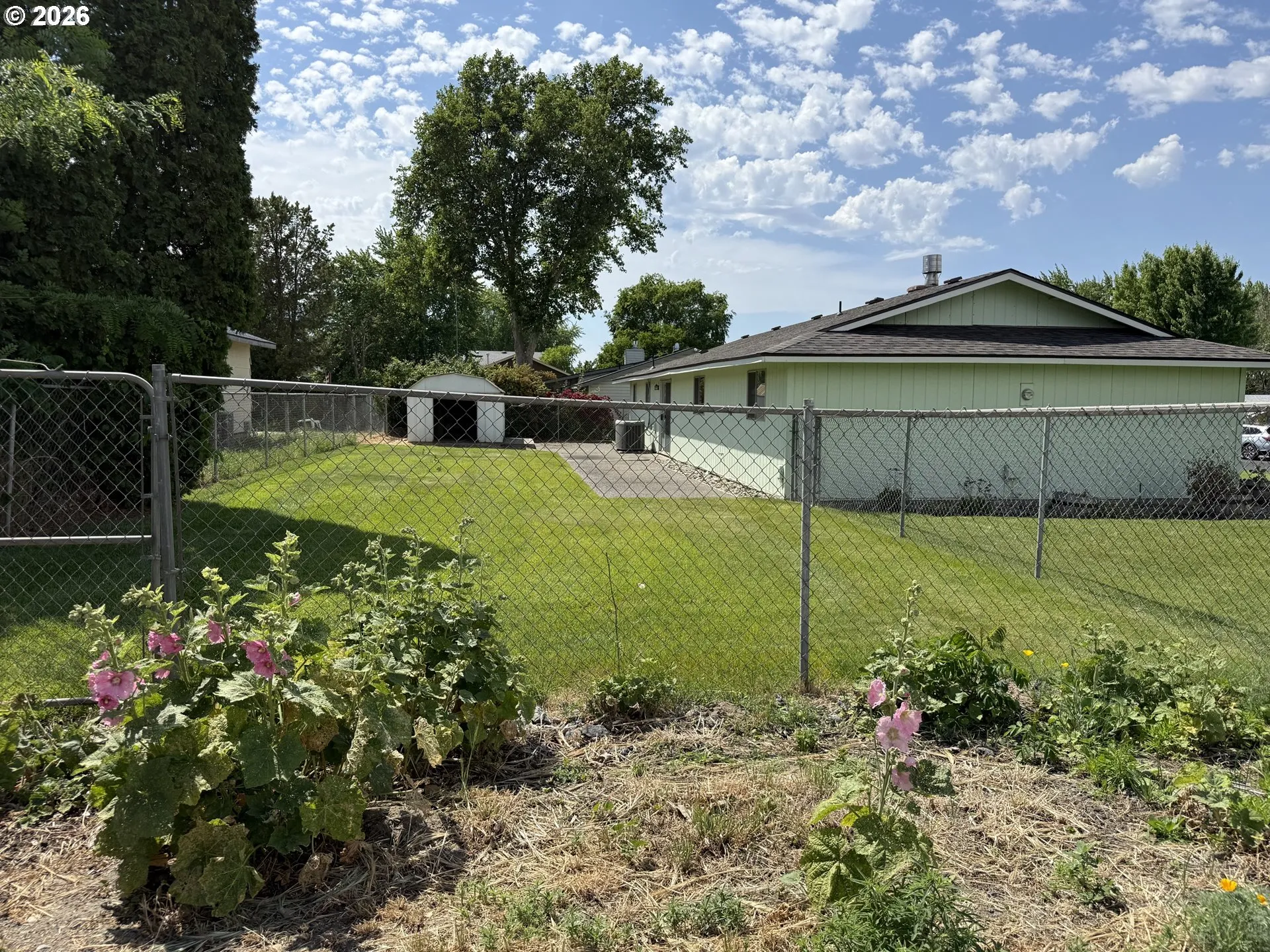 Backyard