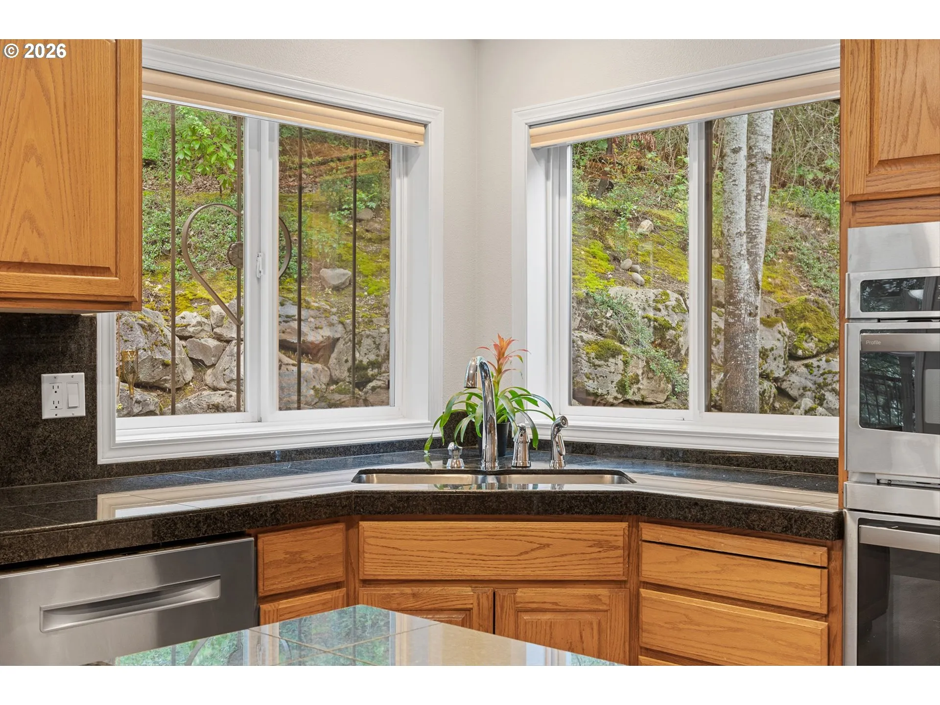 Kitchen-View From