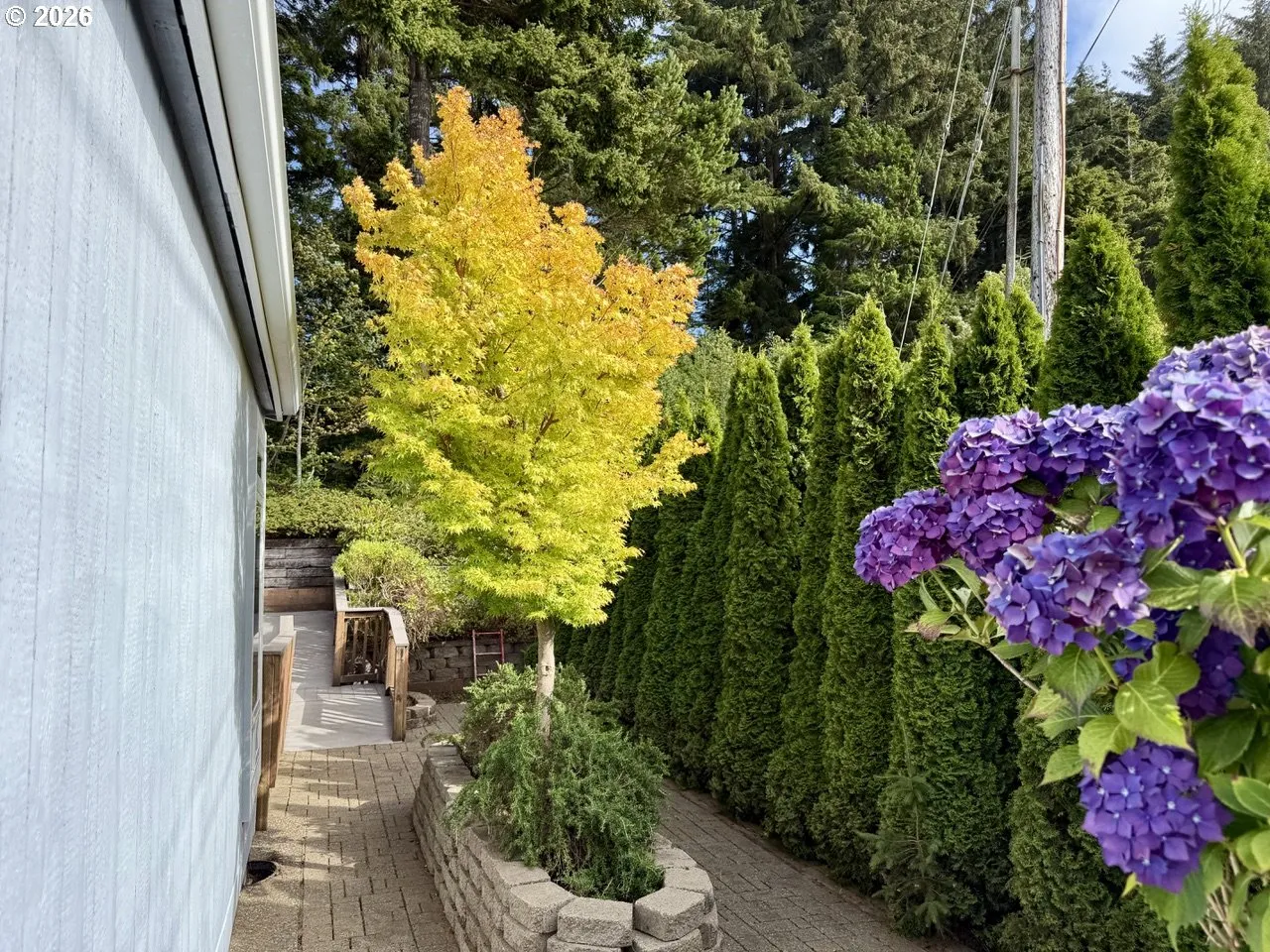 Patio-Backyard