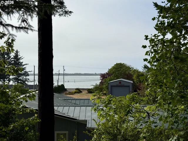 Backyard-View From