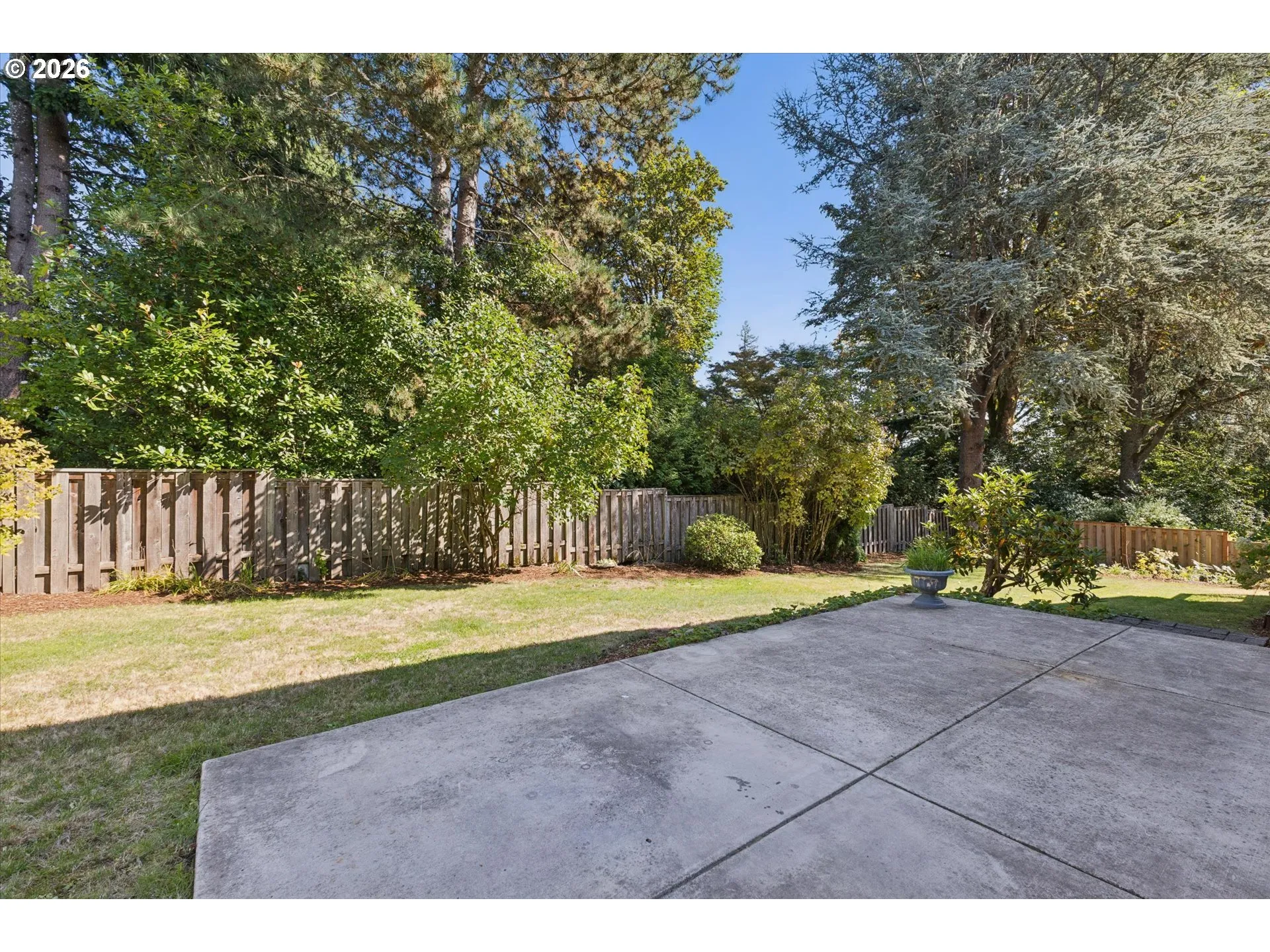 Backyard