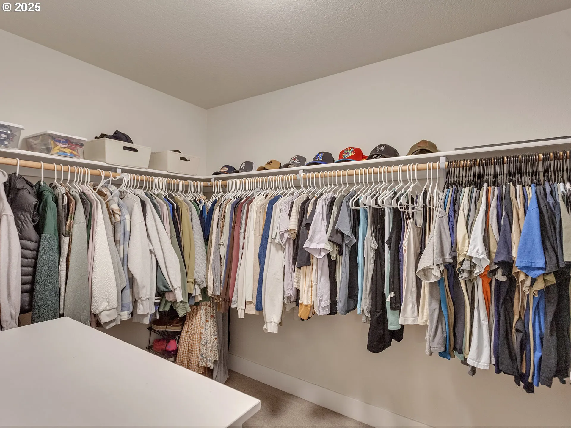 Primary Bedroom-Walk-In Closet