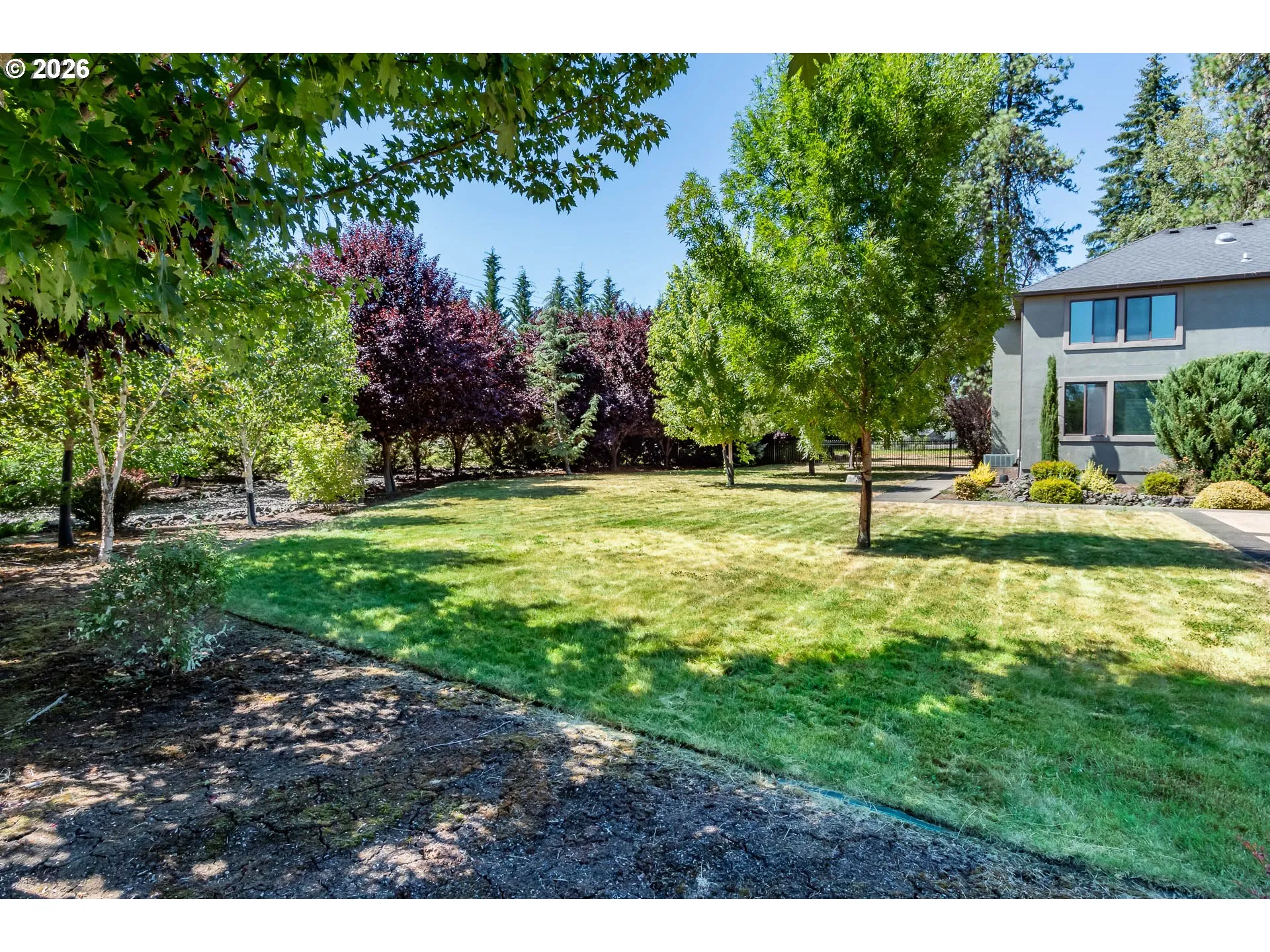 Yard-Landscaped