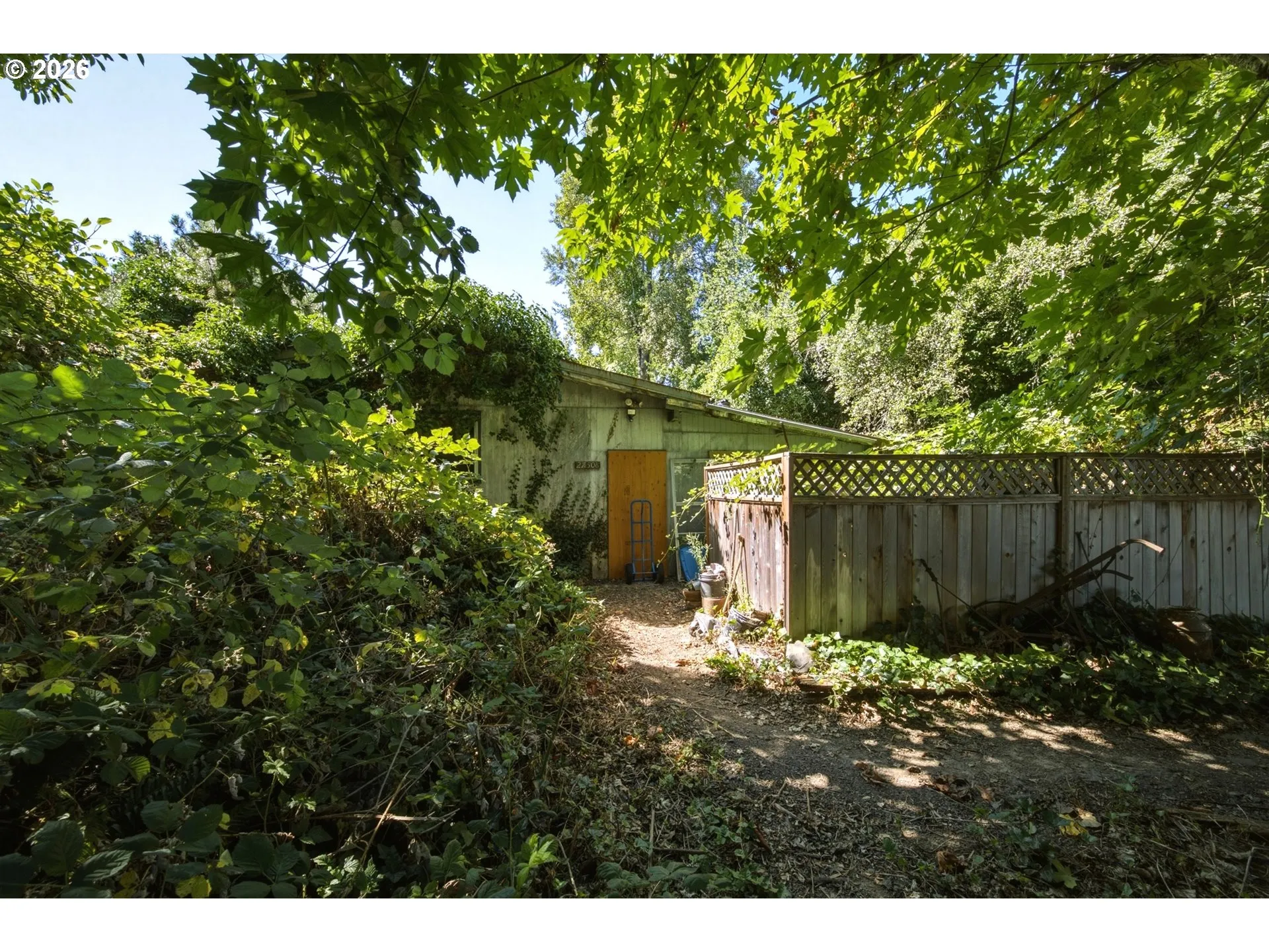 Front Yard