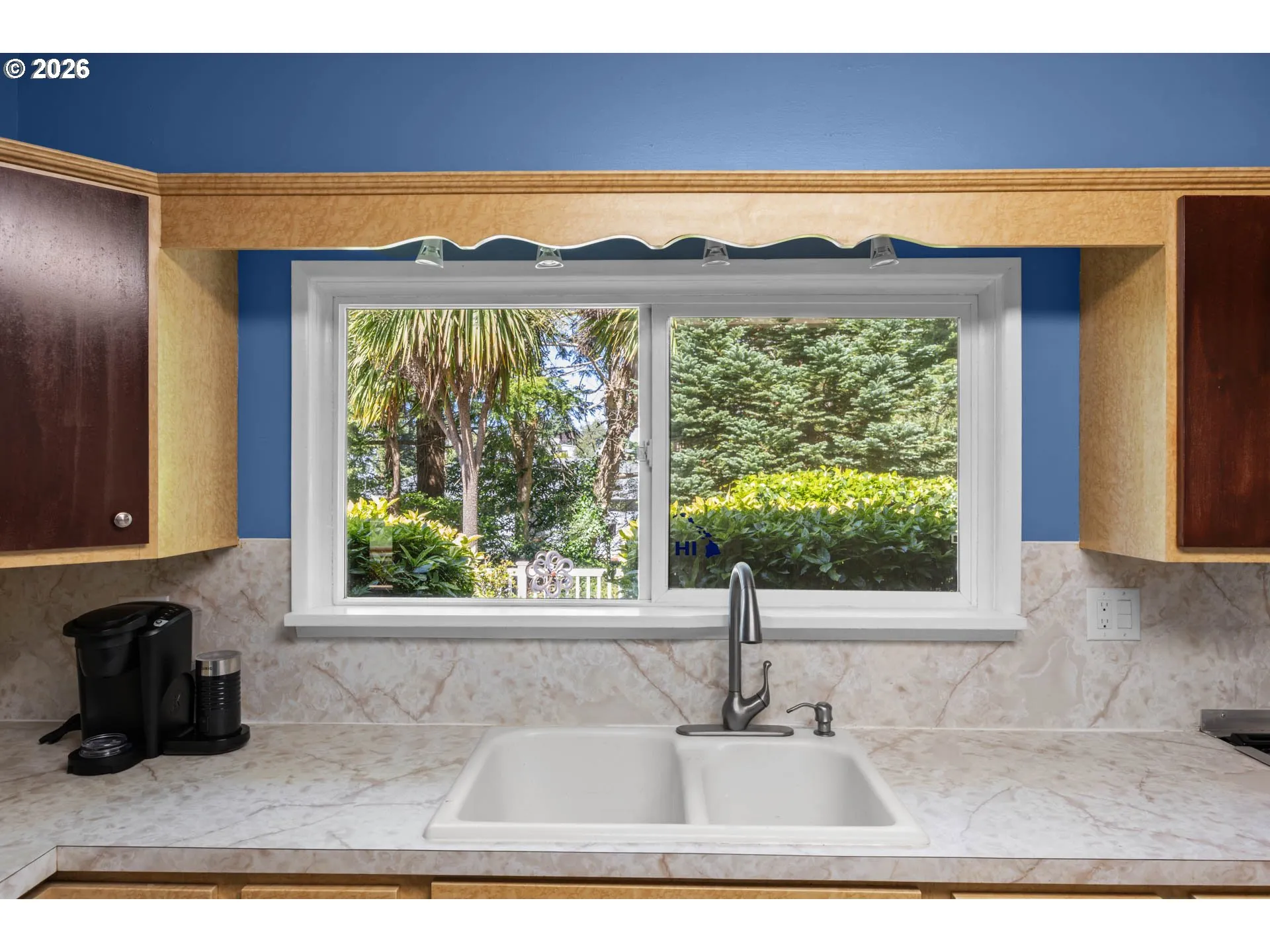 Kitchen-View From
