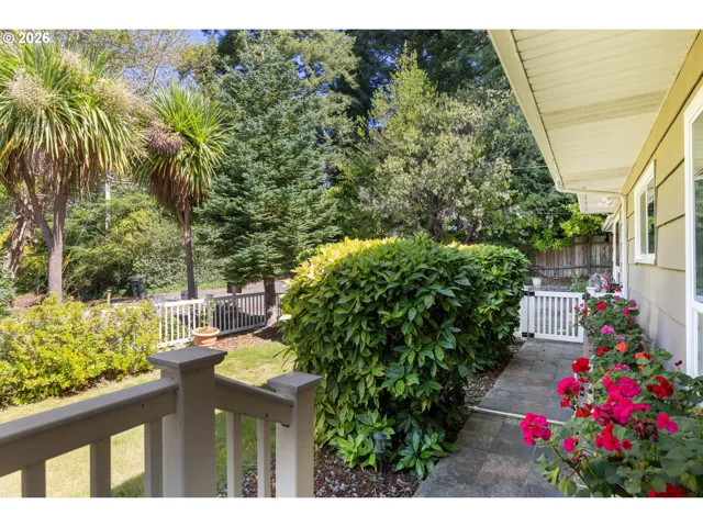 Front Yard-View From