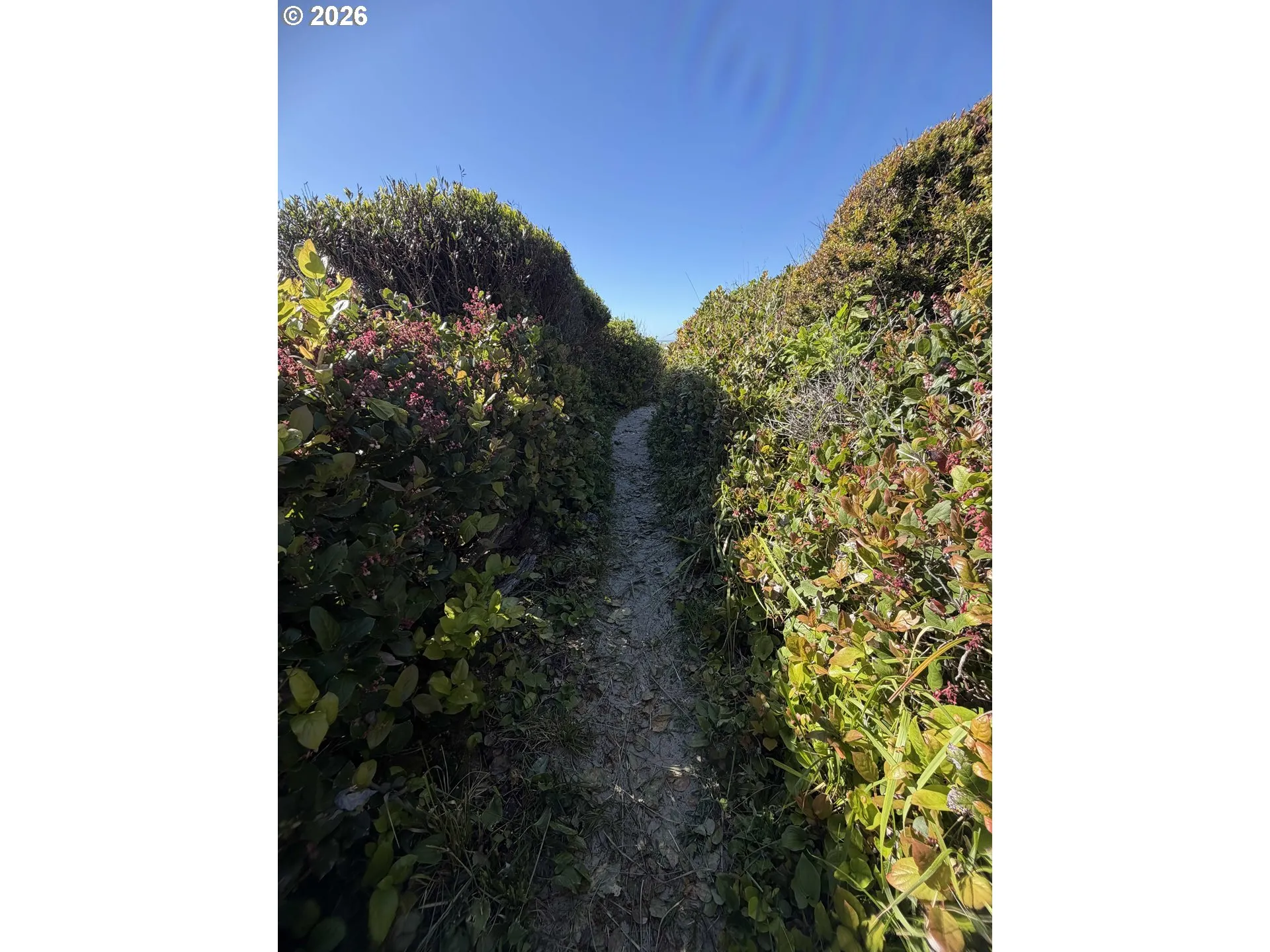 Beach Access