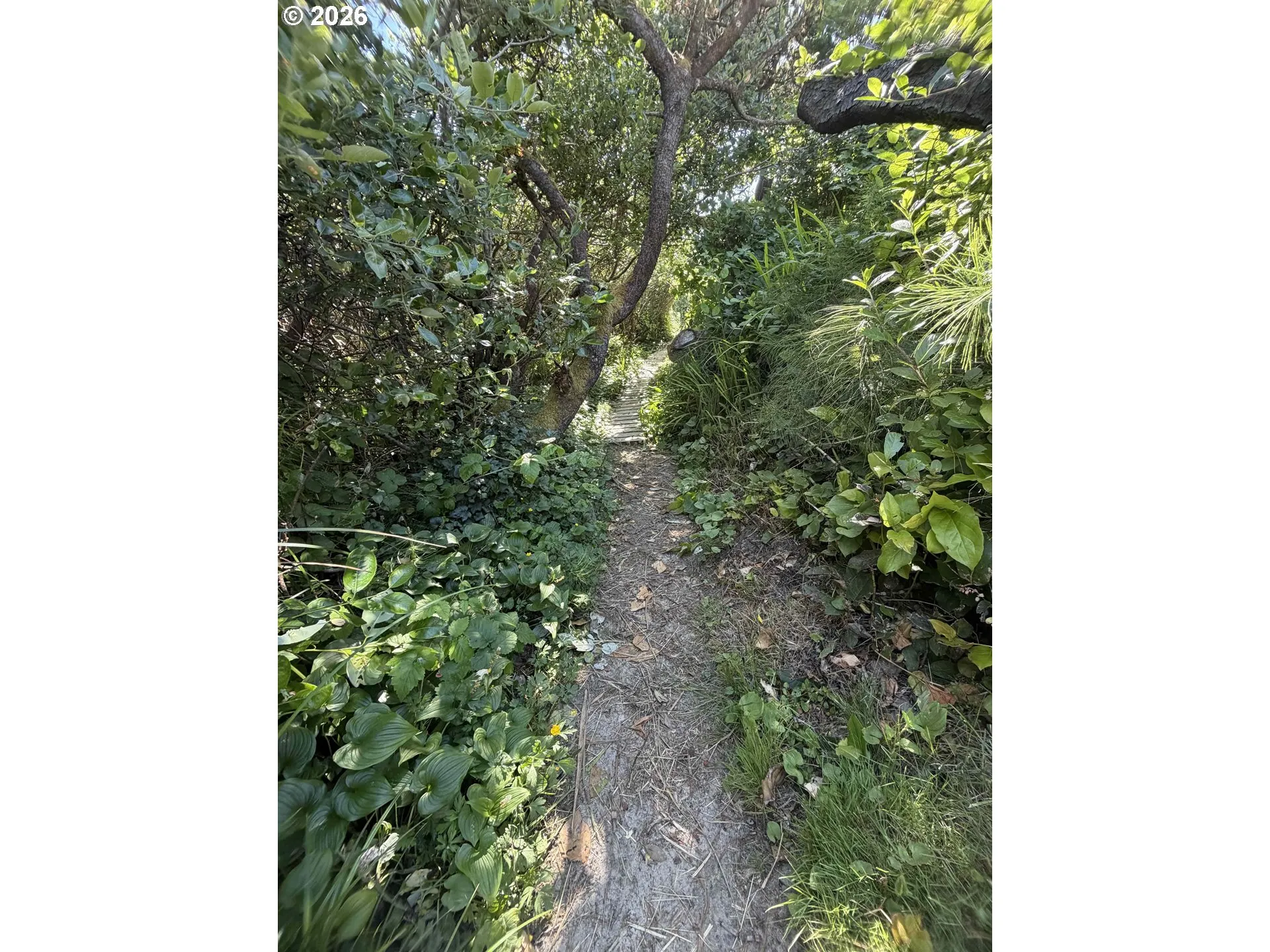 Beach Access