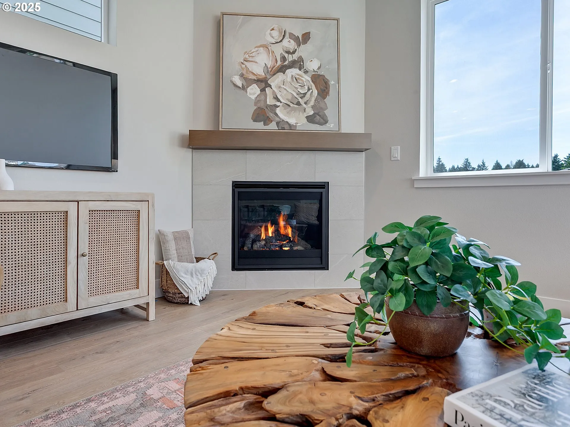 Living Room-Fireplace