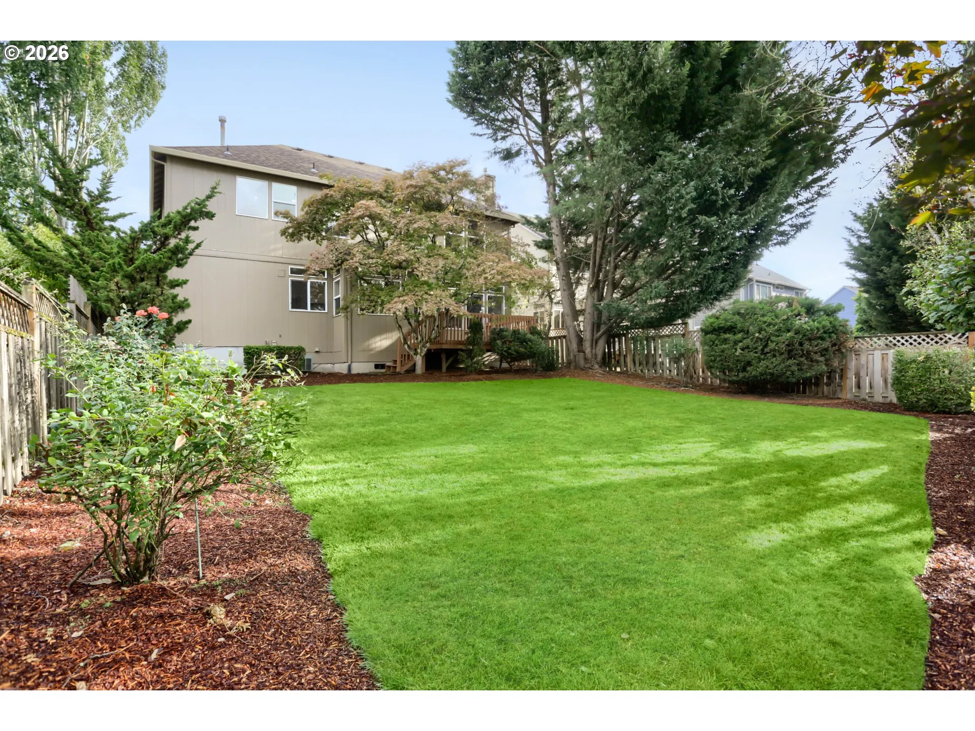 Backyard-Fenced