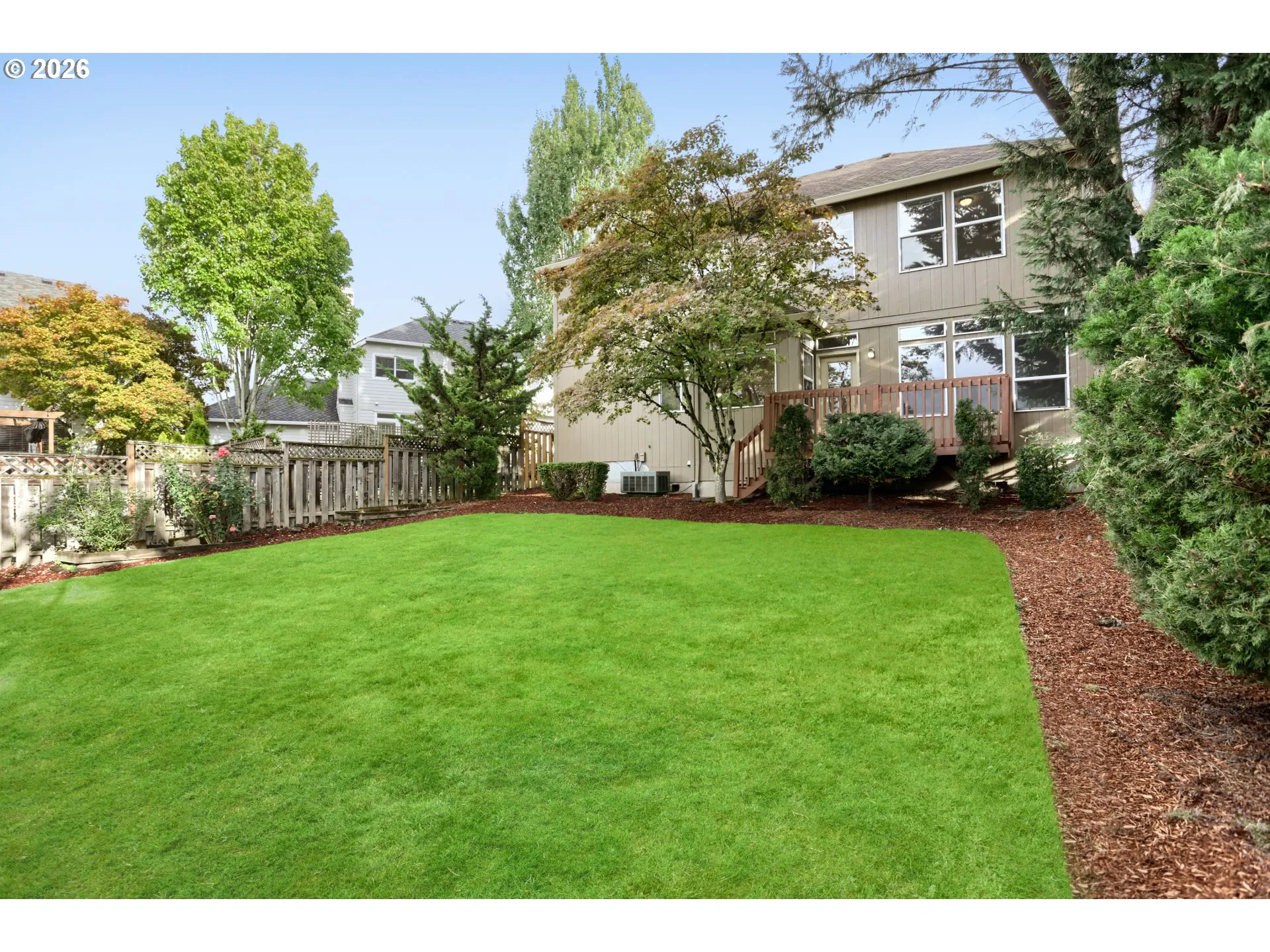 Backyard-View From