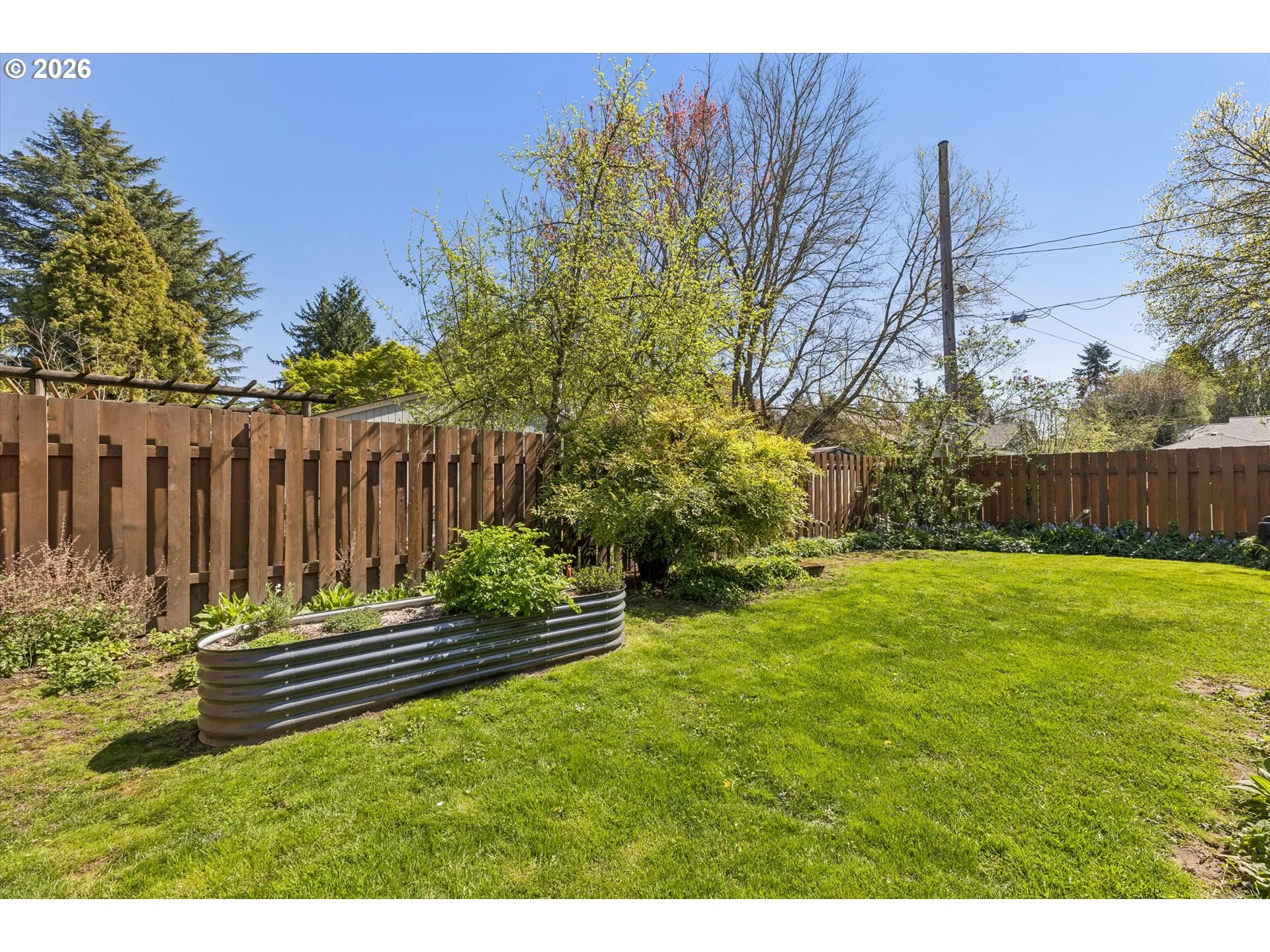 Backyard-Fenced