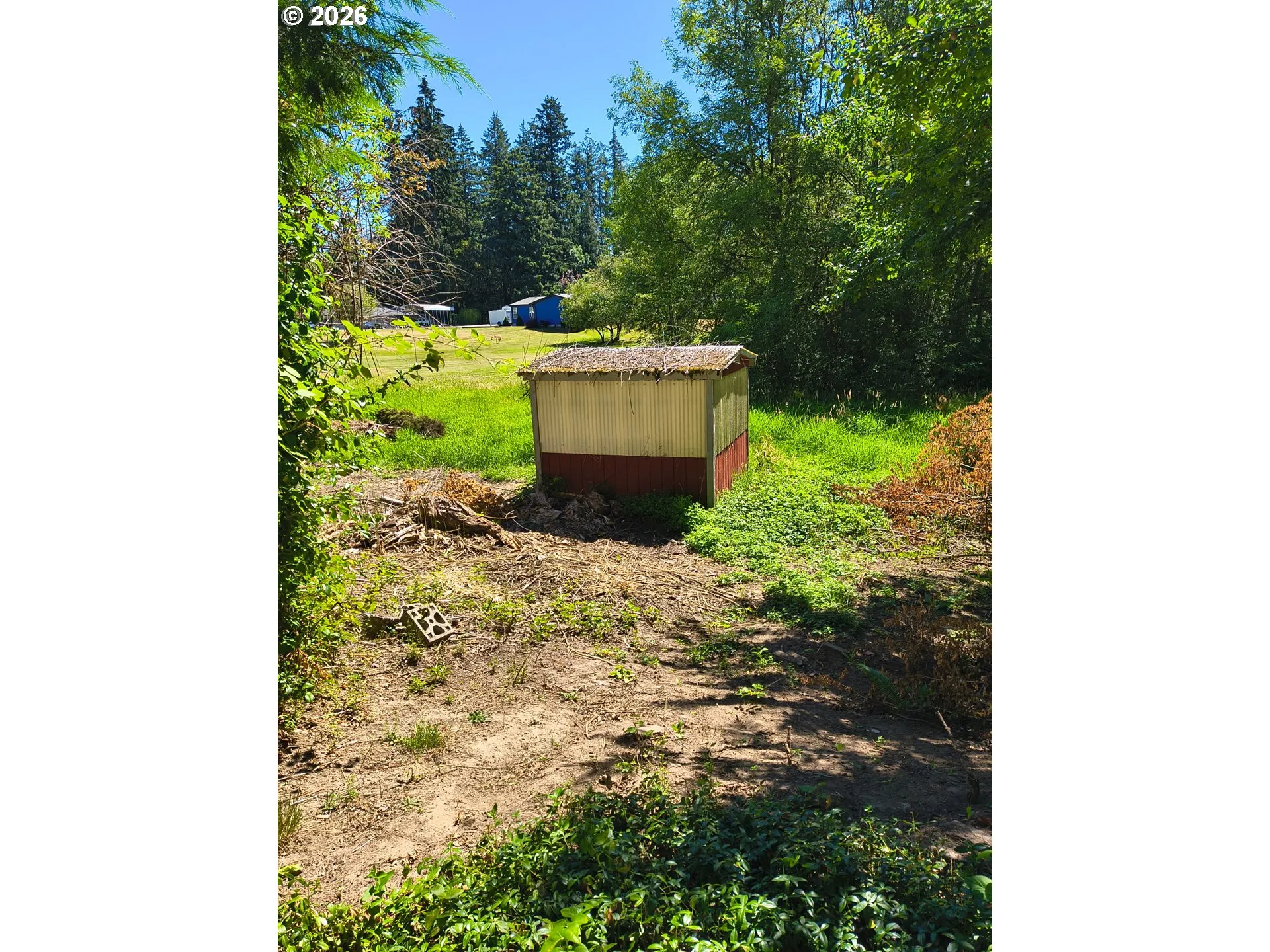 Shed