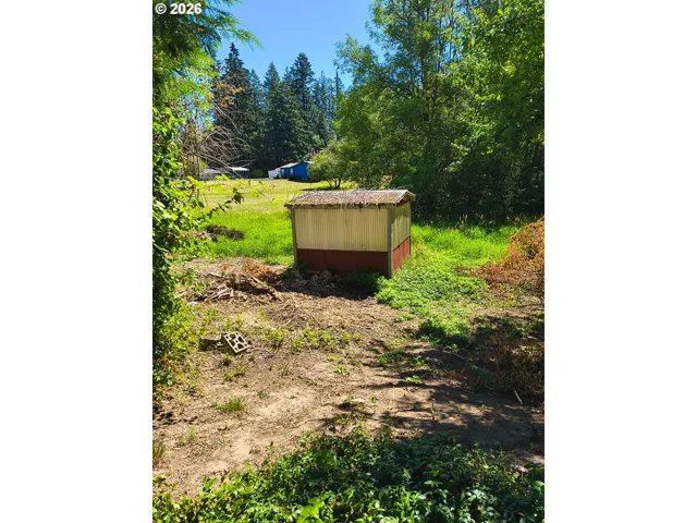 Shed