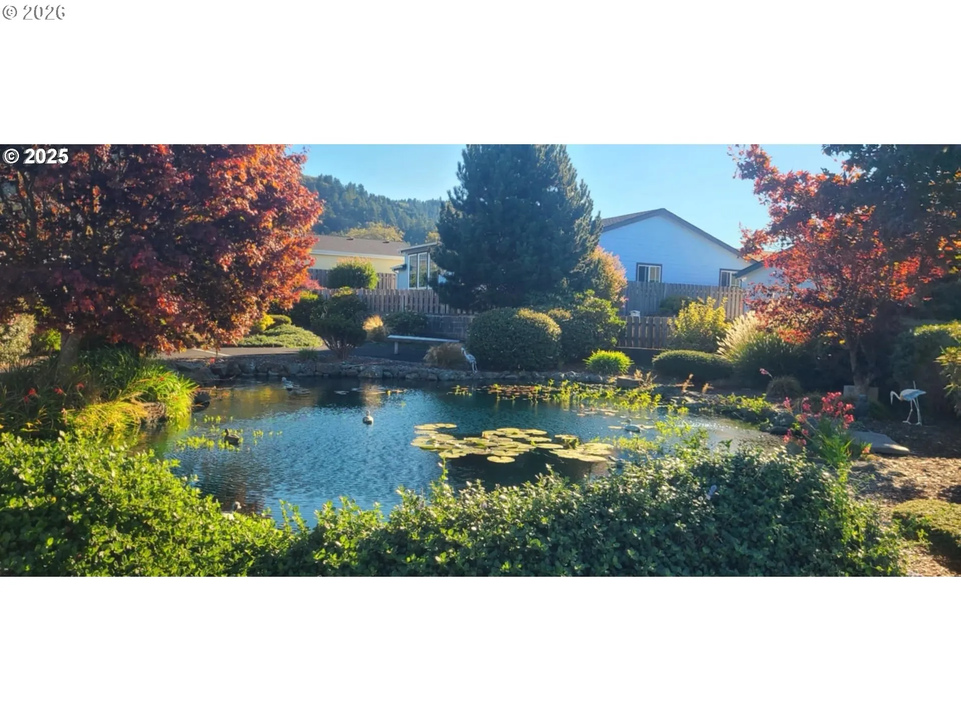 Pond
