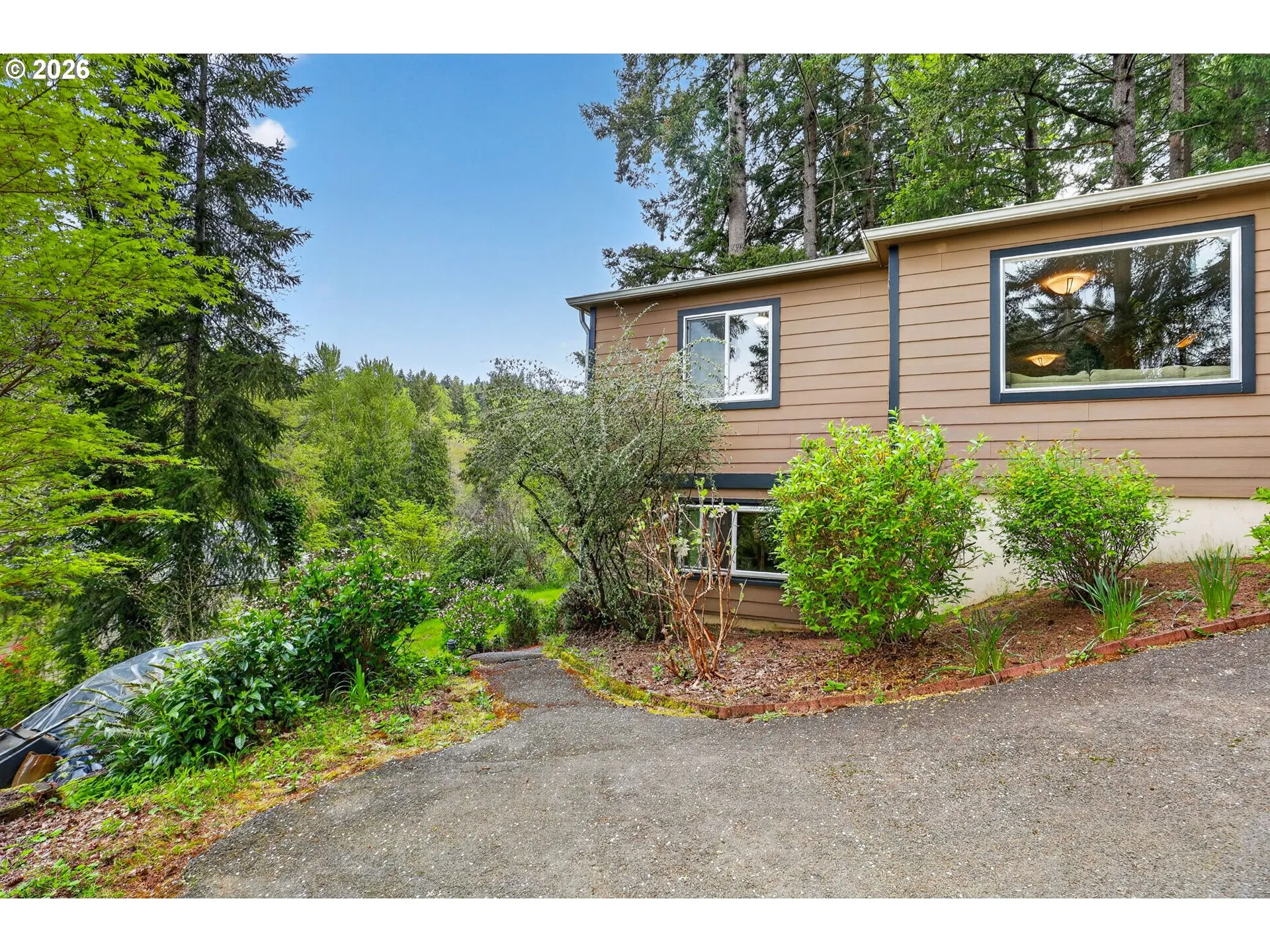 Backyard-View From
