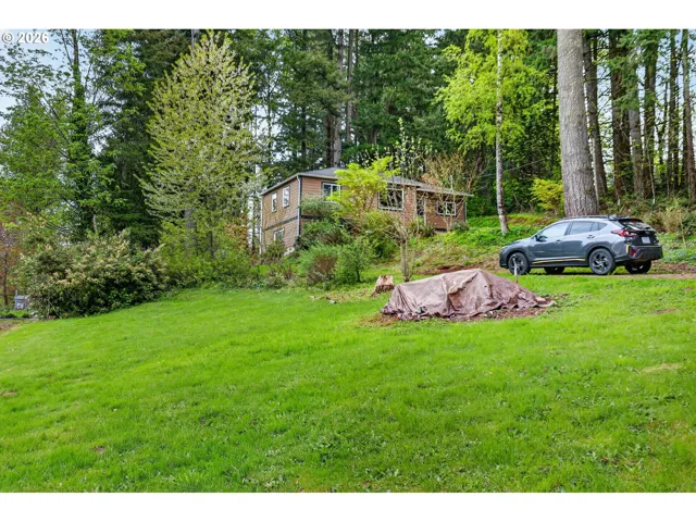 Front Yard-View From