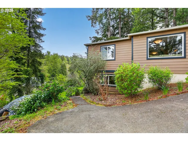 Backyard-View From