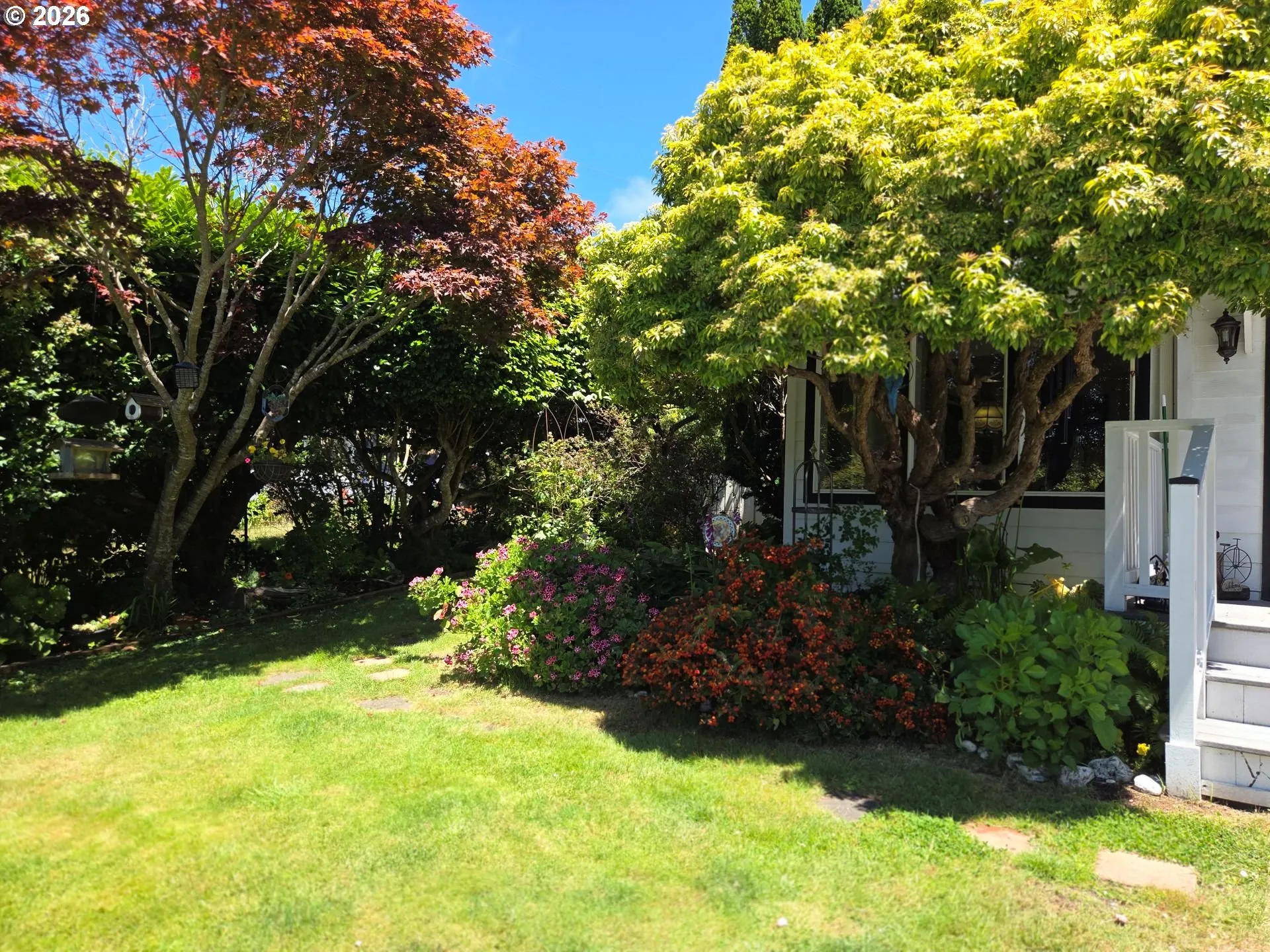 Front Yard