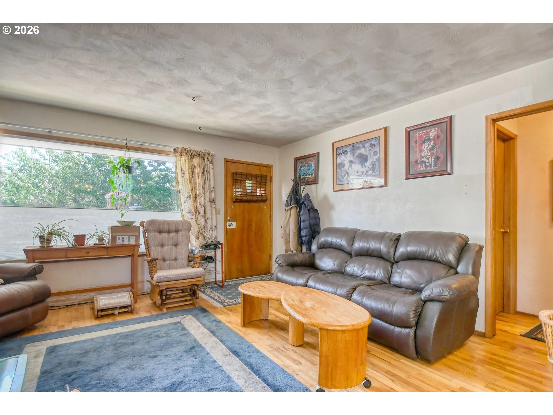 Living Room/Entrance