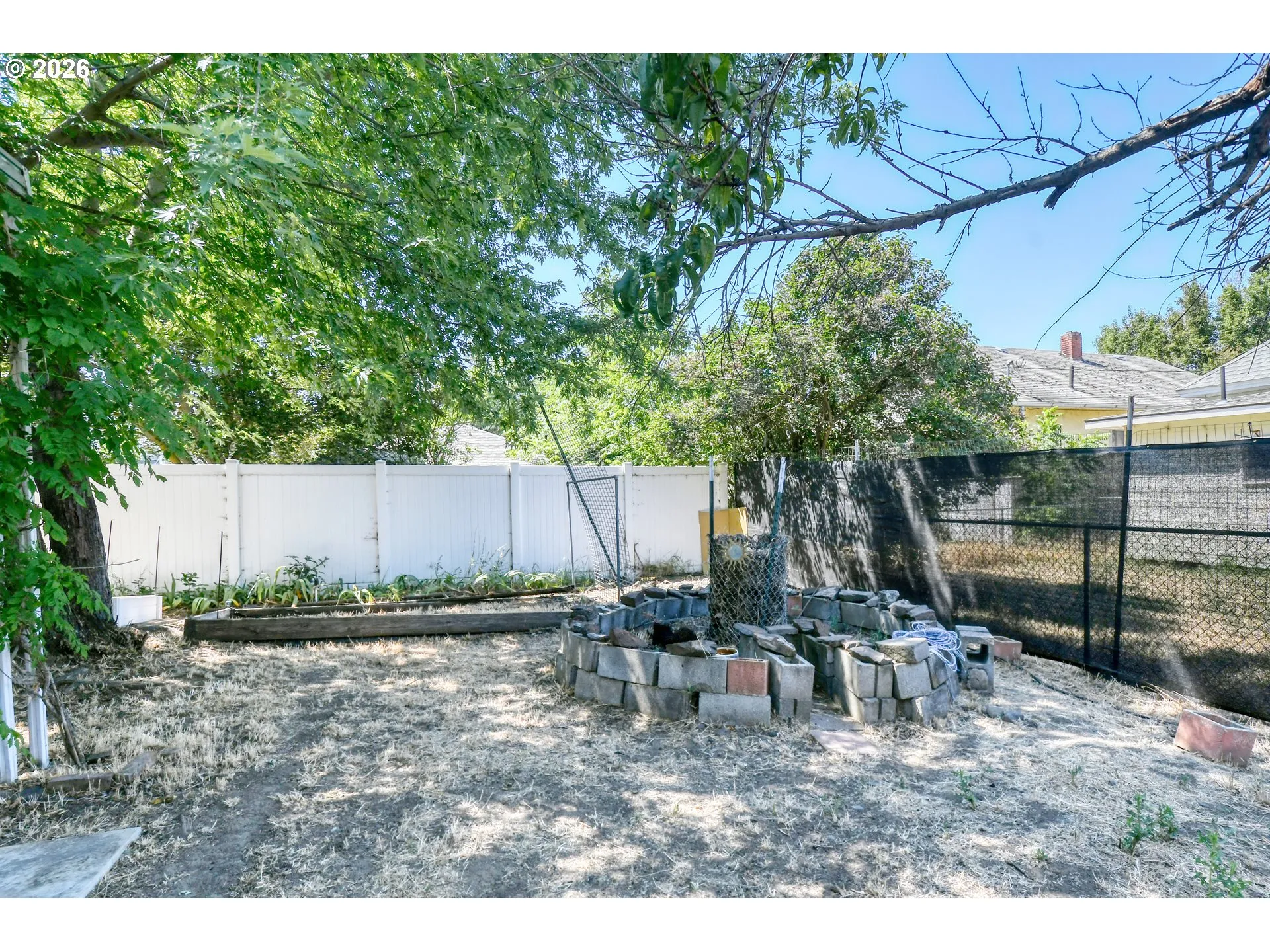 Backyard-# 2