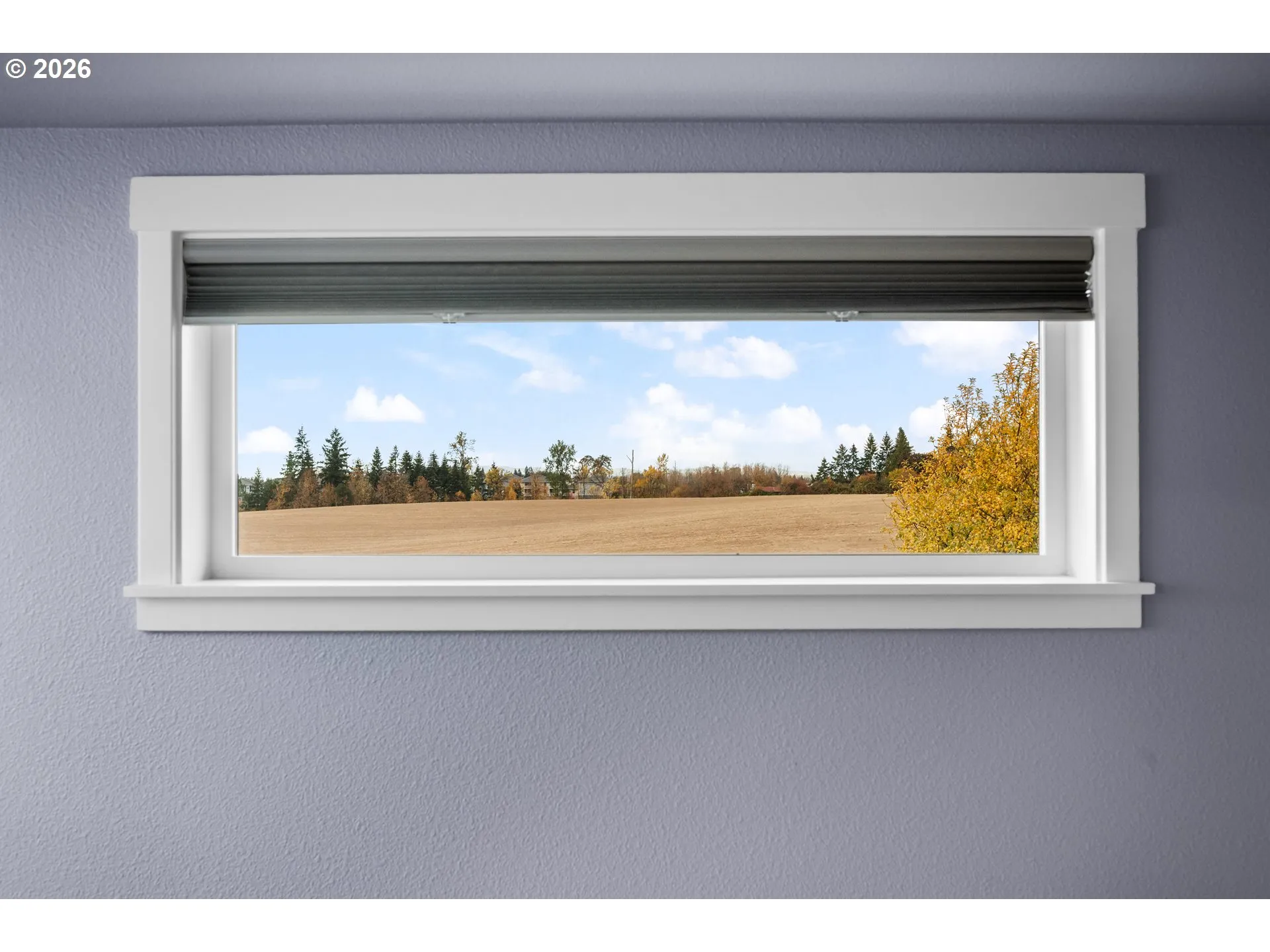Primary Bedroom-View From