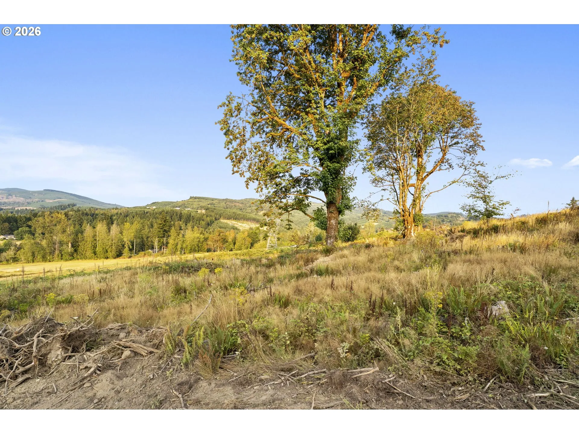 Home Site